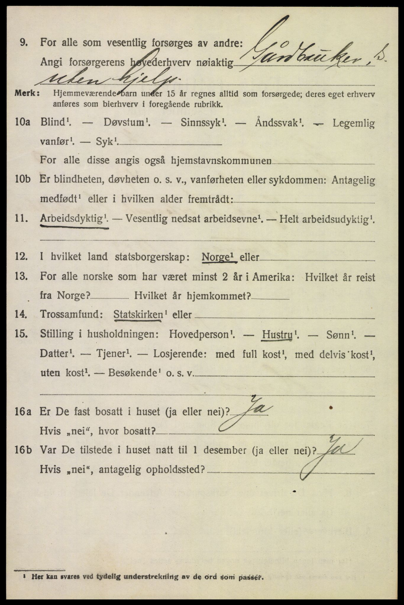 SAH, 1920 census for Tynset, 1920, p. 4085