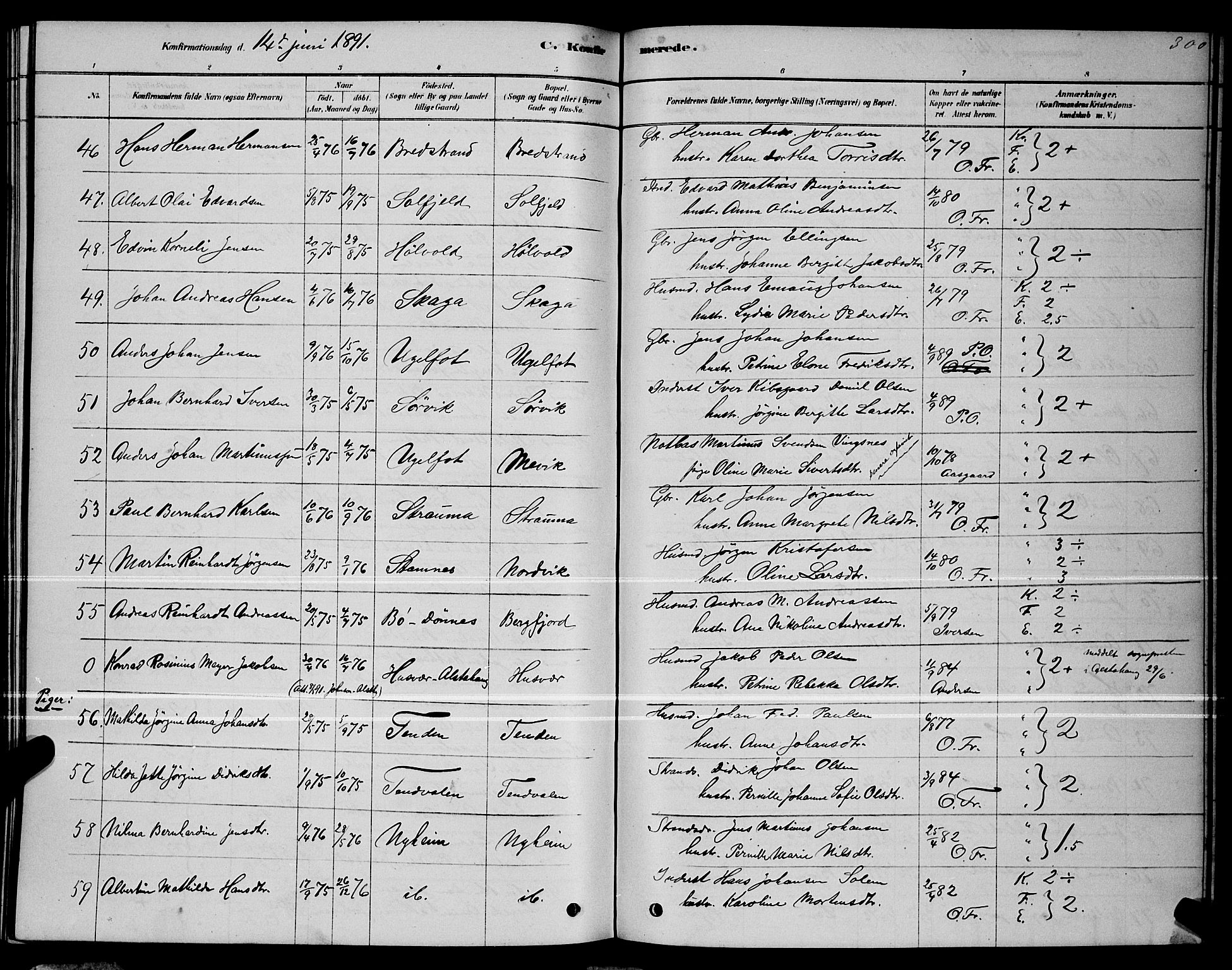 Ministerialprotokoller, klokkerbøker og fødselsregistre - Nordland, AV/SAT-A-1459/834/L0513: Parish register (copy) no. 834C04, 1877-1892, p. 300