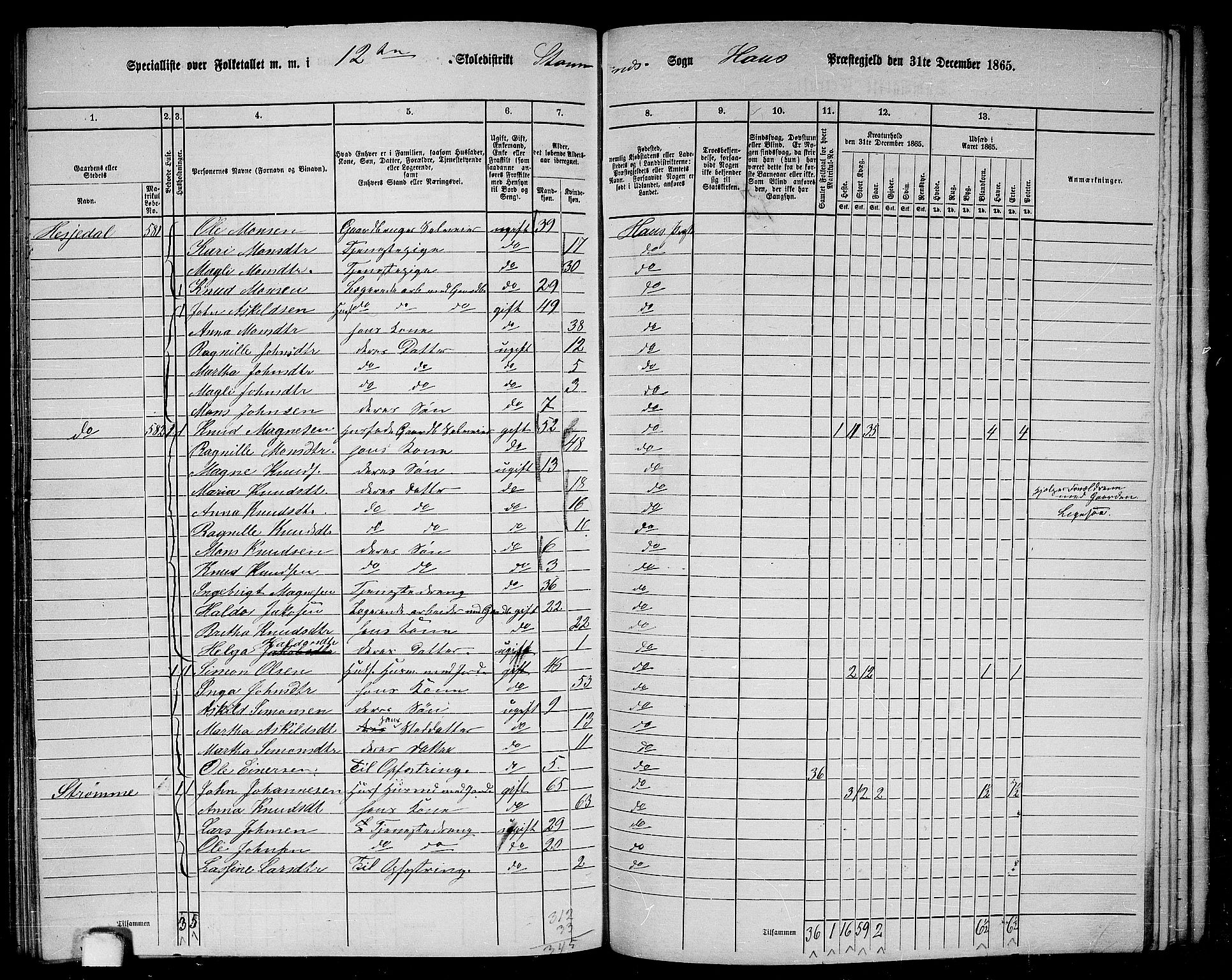 RA, 1865 census for Haus, 1865, p. 243