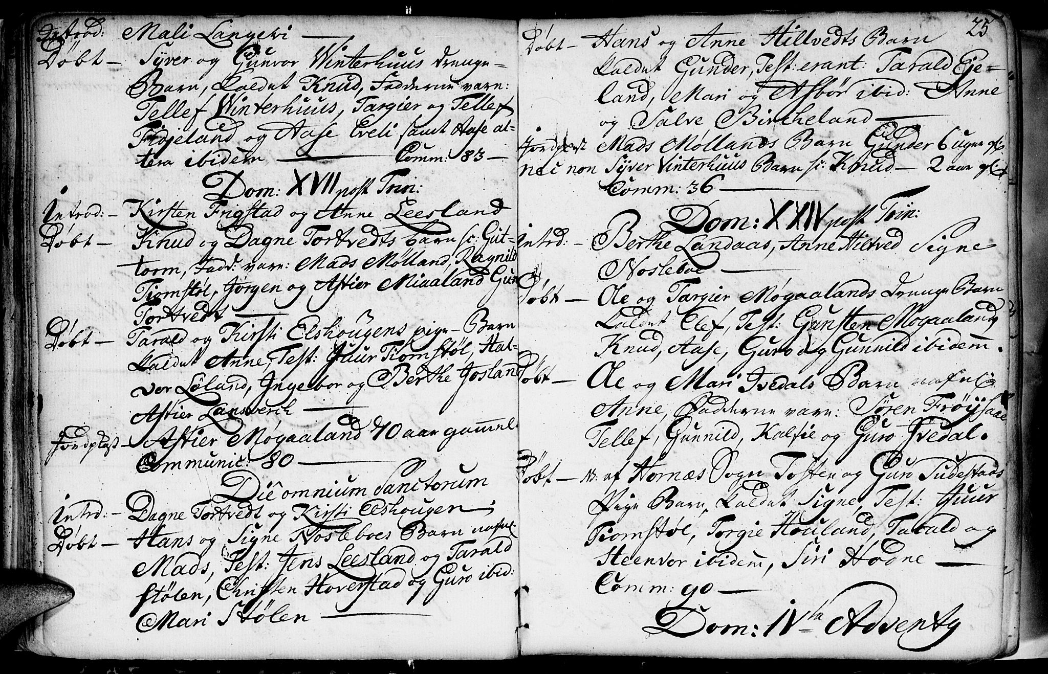 Evje sokneprestkontor, AV/SAK-1111-0008/F/Fa/Fac/L0002: Parish register (official) no. A 2, 1765-1816, p. 25