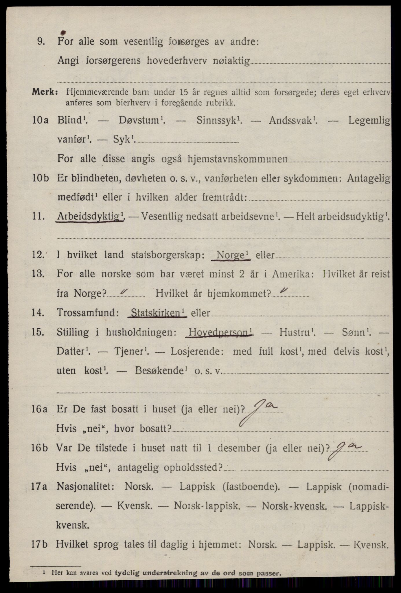 SAT, 1920 census for Nes (ST), 1920, p. 456