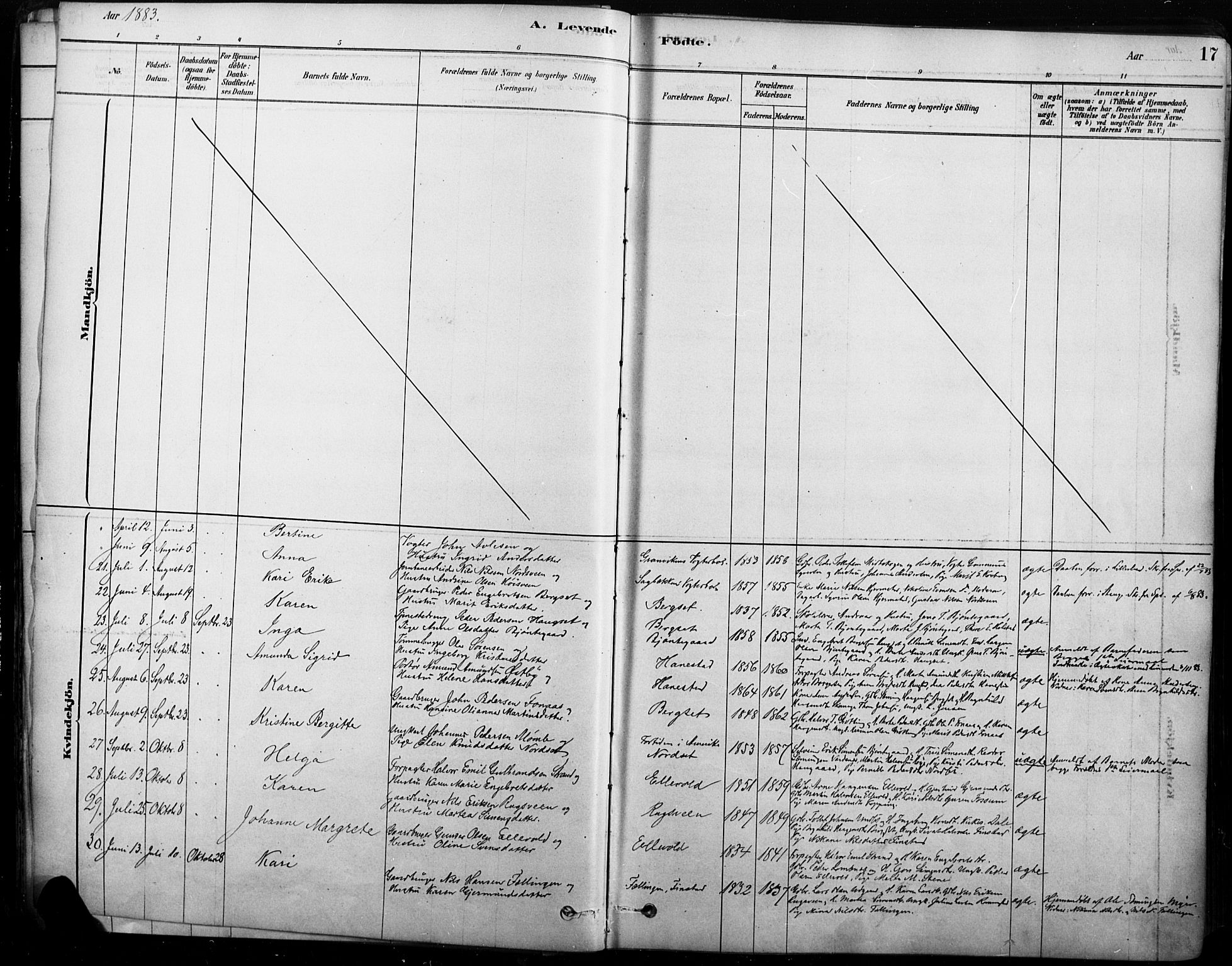 Rendalen prestekontor, SAH/PREST-054/H/Ha/Haa/L0009: Parish register (official) no. 9, 1878-1901, p. 17