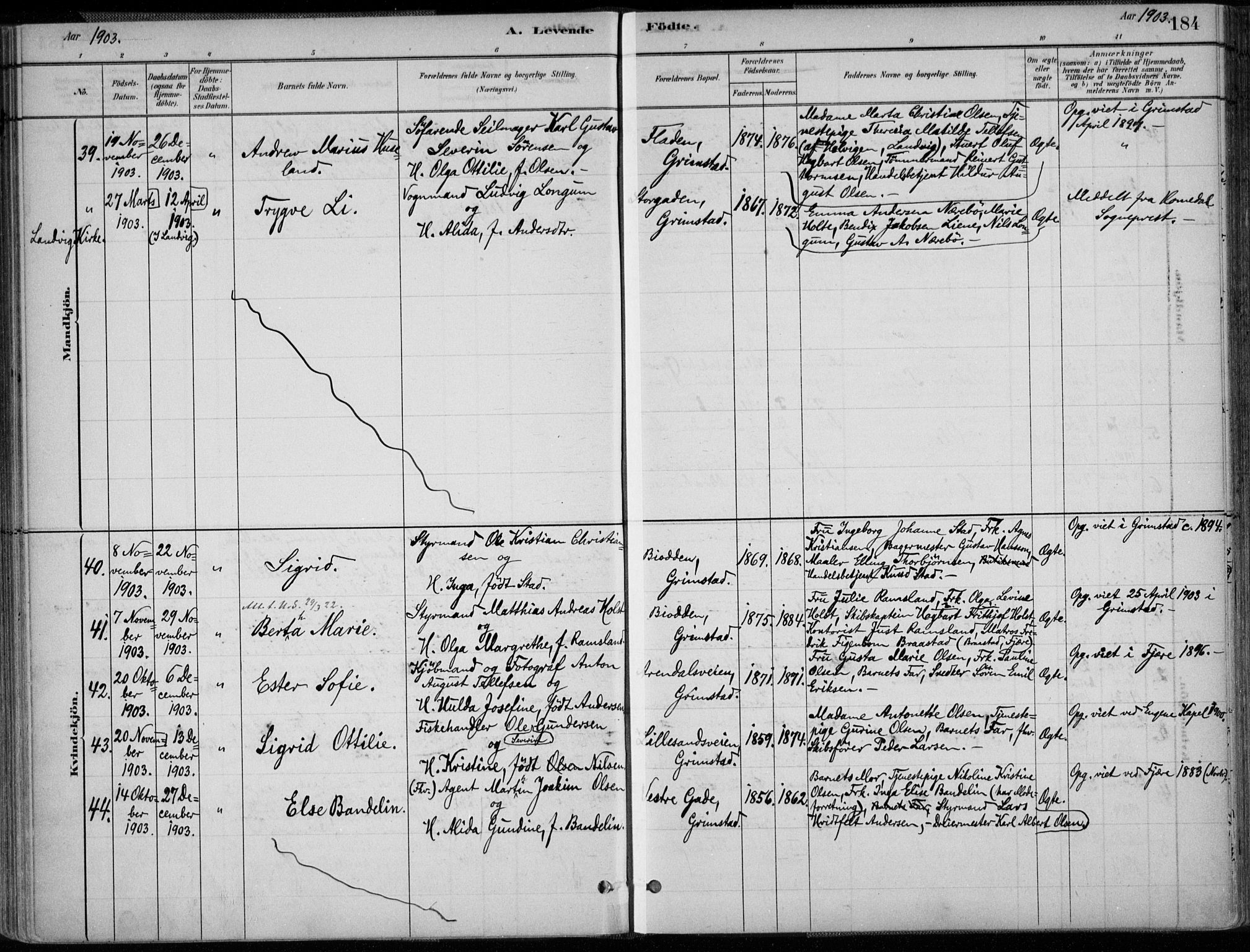 Grimstad sokneprestkontor, SAK/1111-0017/F/Fa/L0003: Parish register (official) no. A 2, 1882-1912, p. 184