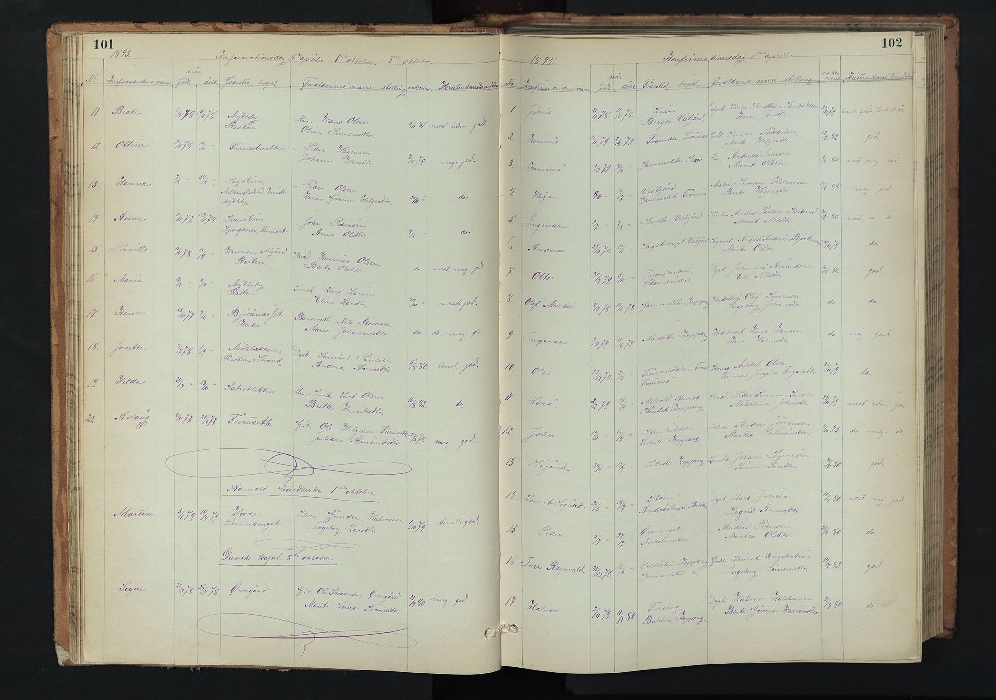 Stor-Elvdal prestekontor, AV/SAH-PREST-052/H/Ha/Hab/L0002: Parish register (copy) no. 2, 1860-1894, p. 101-102