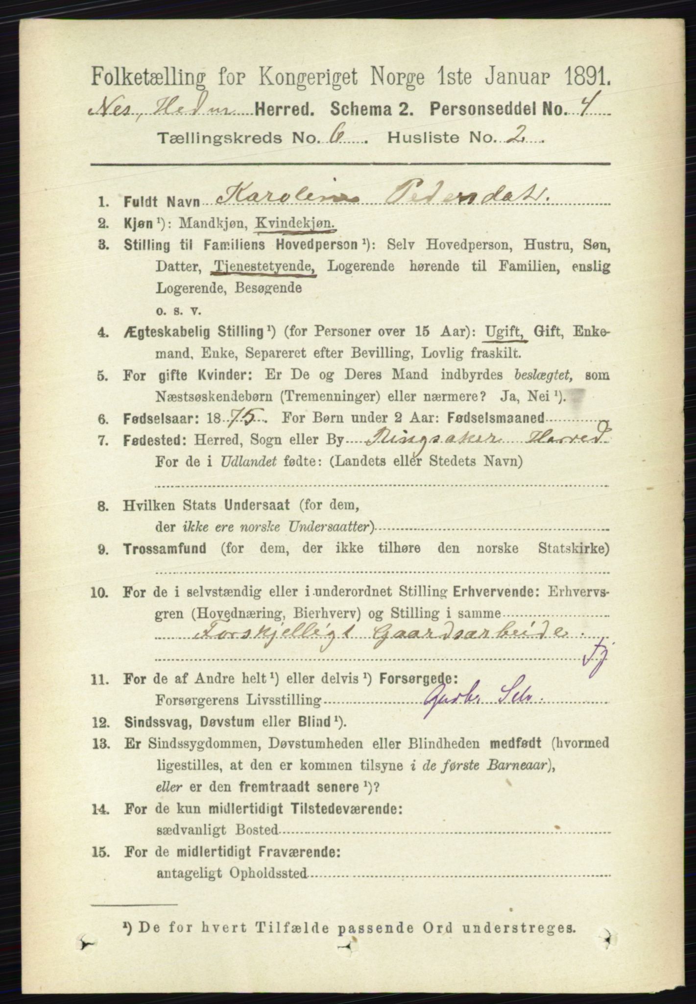 RA, 1891 census for 0411 Nes, 1891, p. 3274