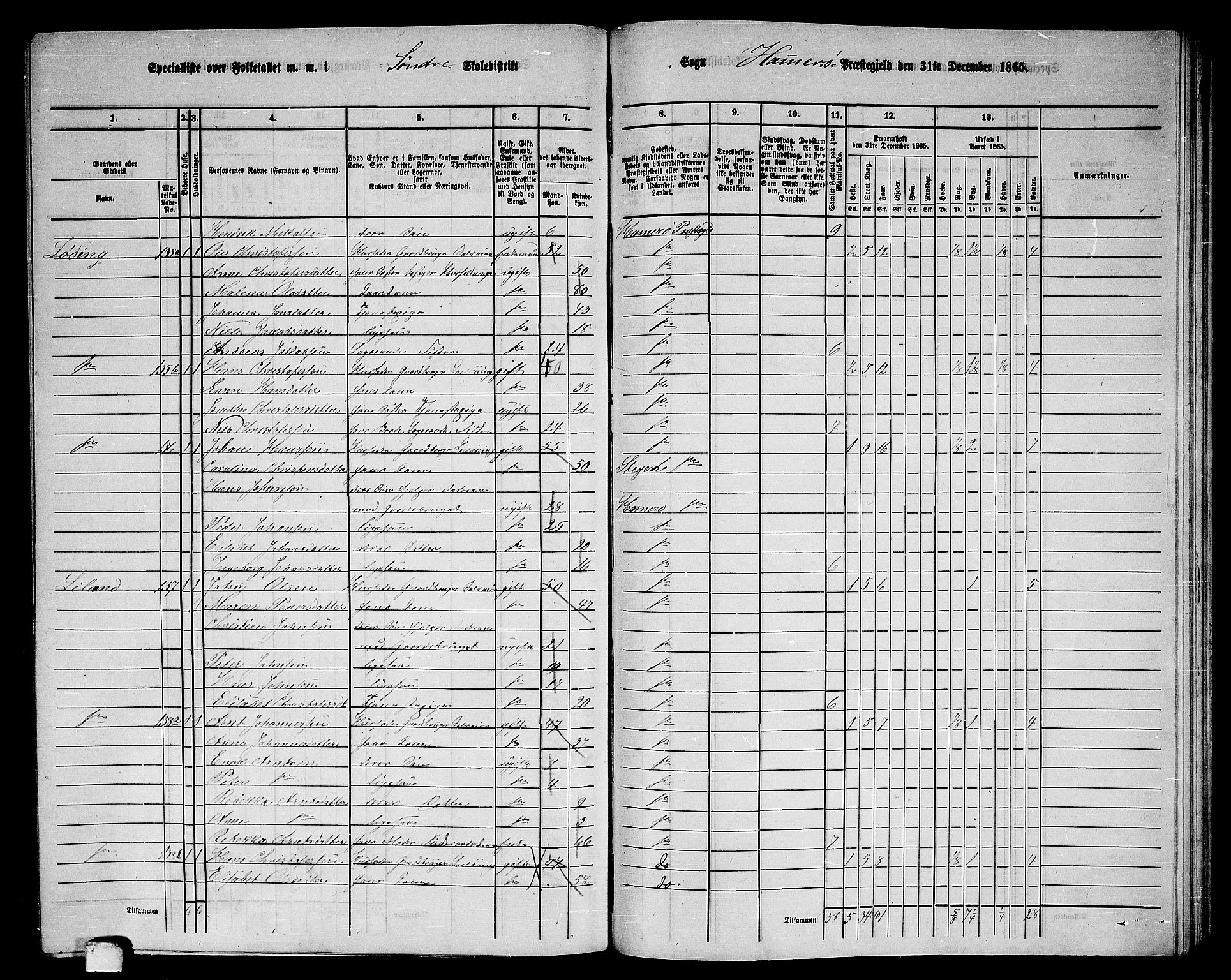 RA, 1865 census for Hamarøy, 1865, p. 64