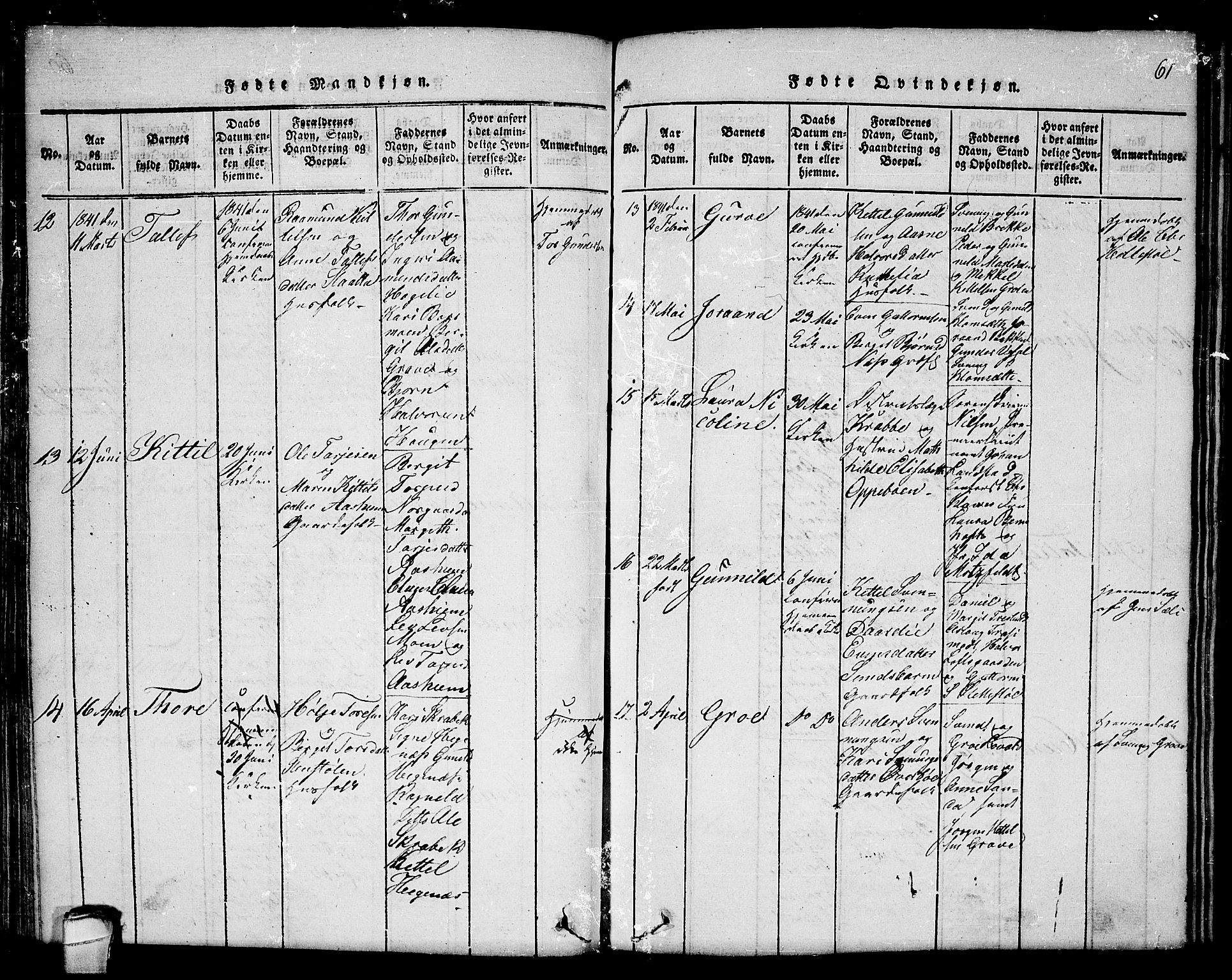 Seljord kirkebøker, AV/SAKO-A-20/F/Fc/L0001: Parish register (official) no. III 1, 1815-1831, p. 61