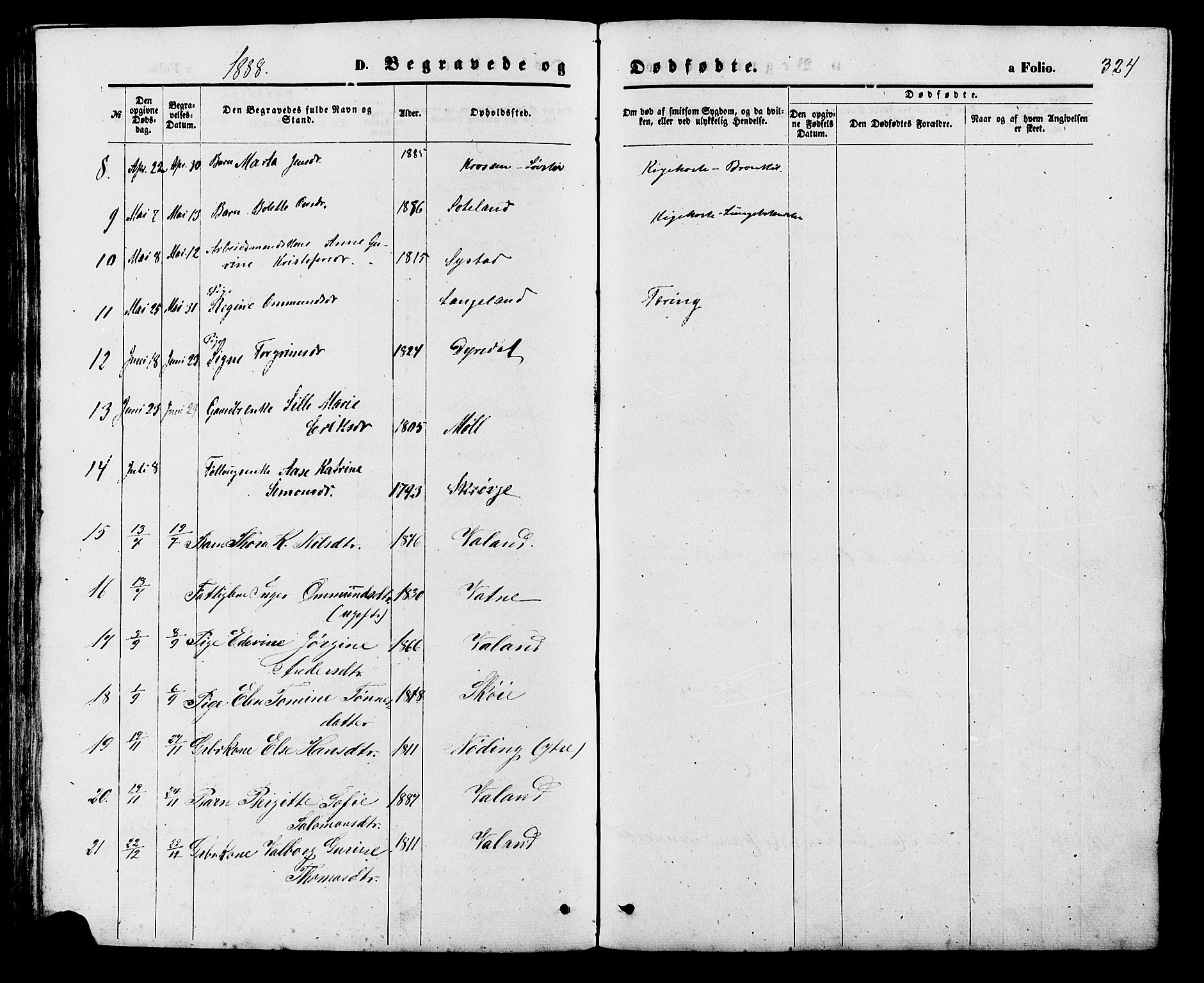 Holum sokneprestkontor, SAK/1111-0022/F/Fb/Fba/L0004: Parish register (copy) no. B 4, 1867-1890, p. 324