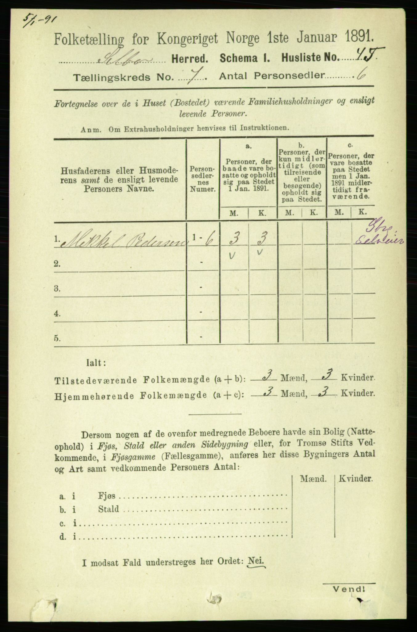 RA, 1891 census for 1664 Selbu, 1891, p. 2565