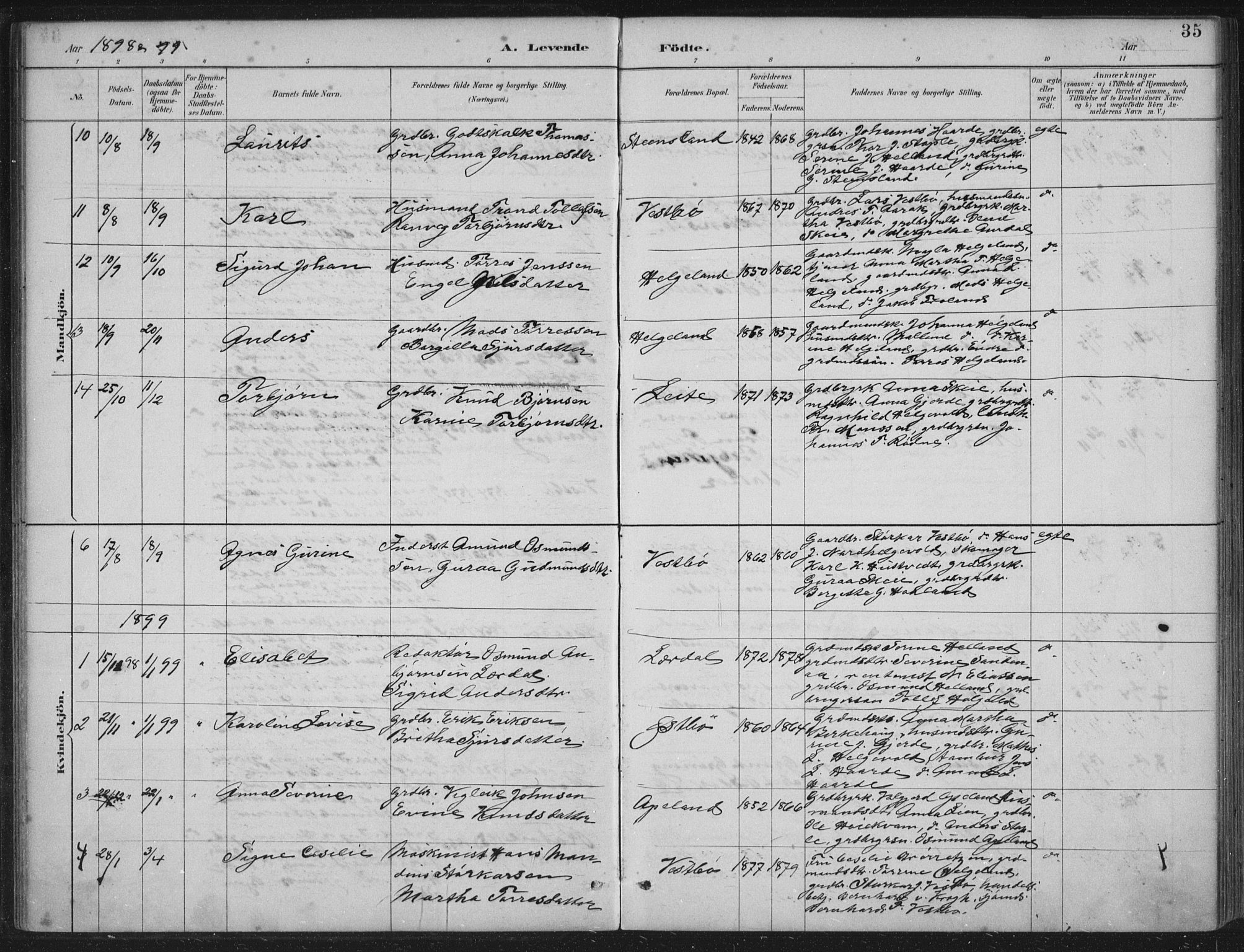 Vikedal sokneprestkontor, AV/SAST-A-101840/01/IV: Parish register (official) no. A 11, 1884-1933, p. 35