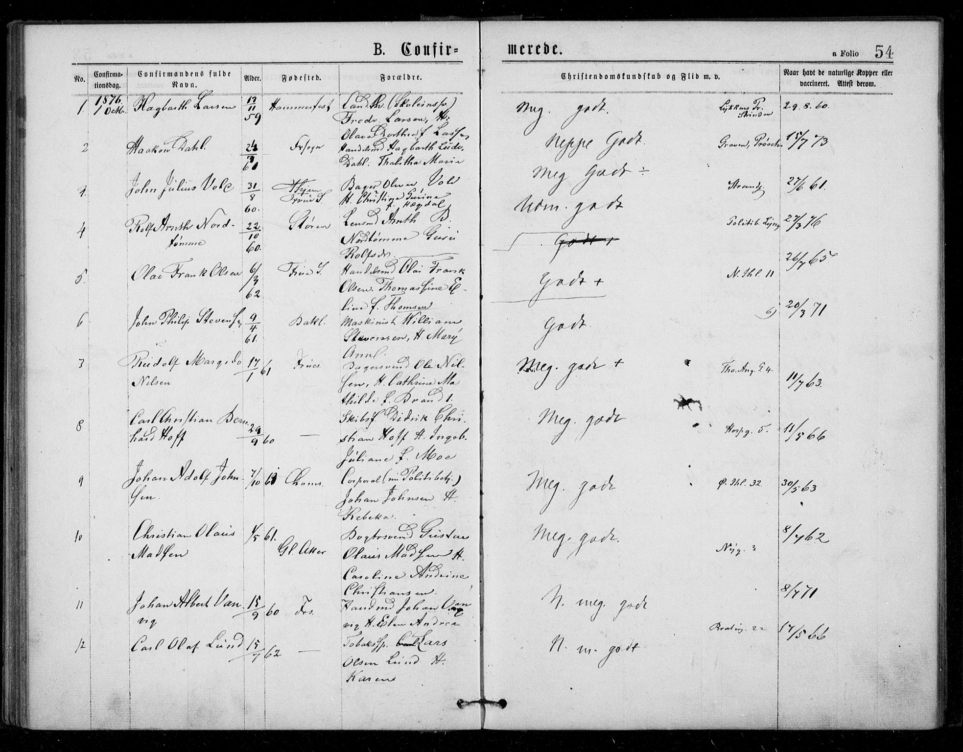 Ministerialprotokoller, klokkerbøker og fødselsregistre - Sør-Trøndelag, AV/SAT-A-1456/602/L0121: Parish register (official) no. 602A19, 1872-1879, p. 54