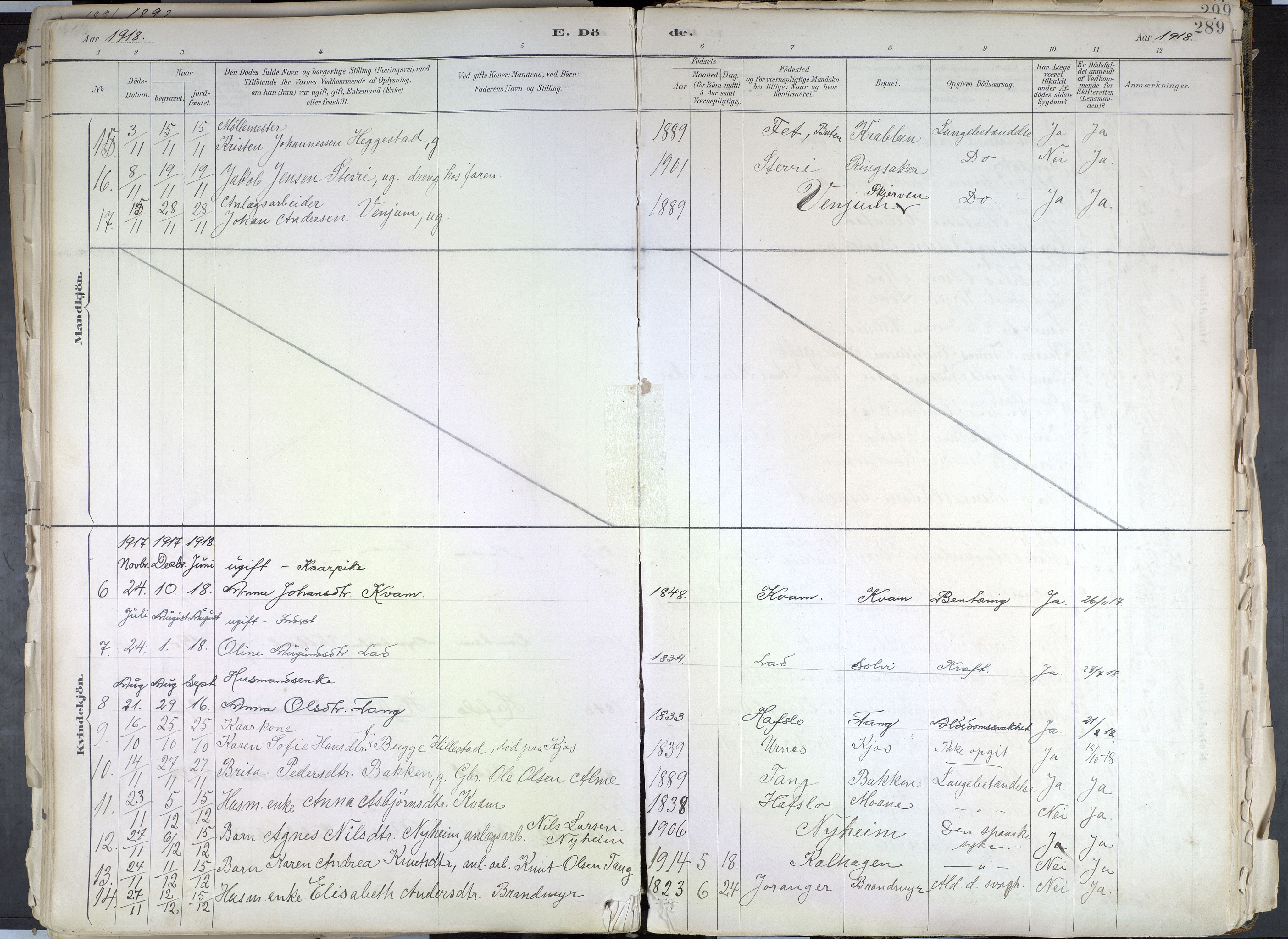 Hafslo sokneprestembete, SAB/A-80301/H/Haa/Haab/L0001: Parish register (official) no. B 1, 1886-1945, p. 289