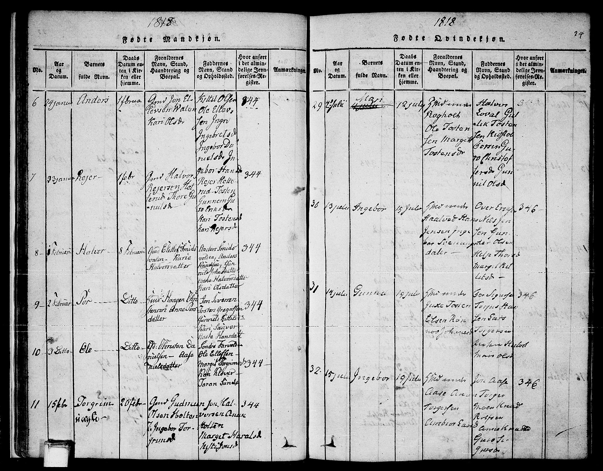 Sauherad kirkebøker, AV/SAKO-A-298/F/Fa/L0005: Parish register (official) no. I 5, 1815-1829, p. 24