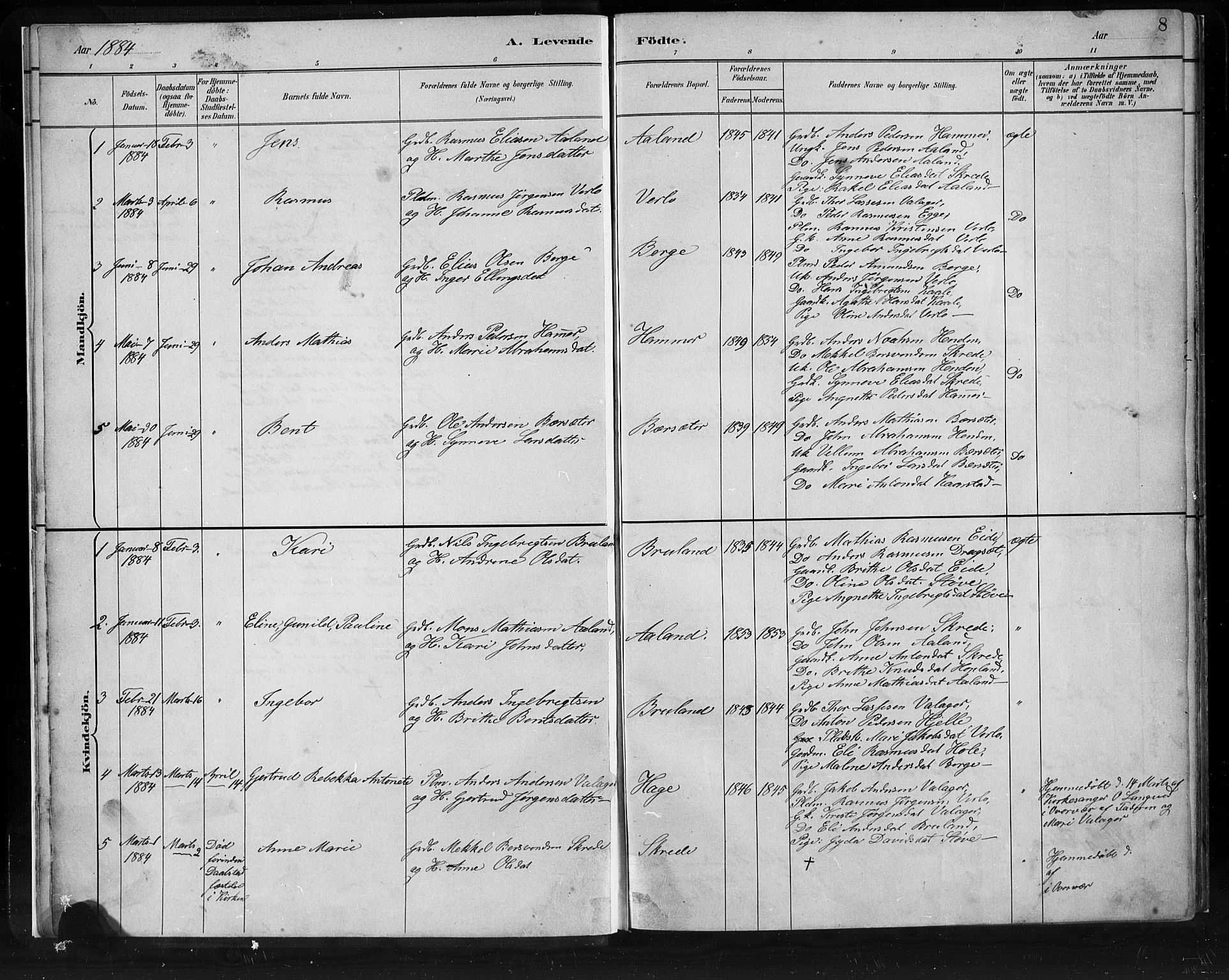 Innvik sokneprestembete, SAB/A-80501: Parish register (copy) no. C 3, 1883-1911, p. 8