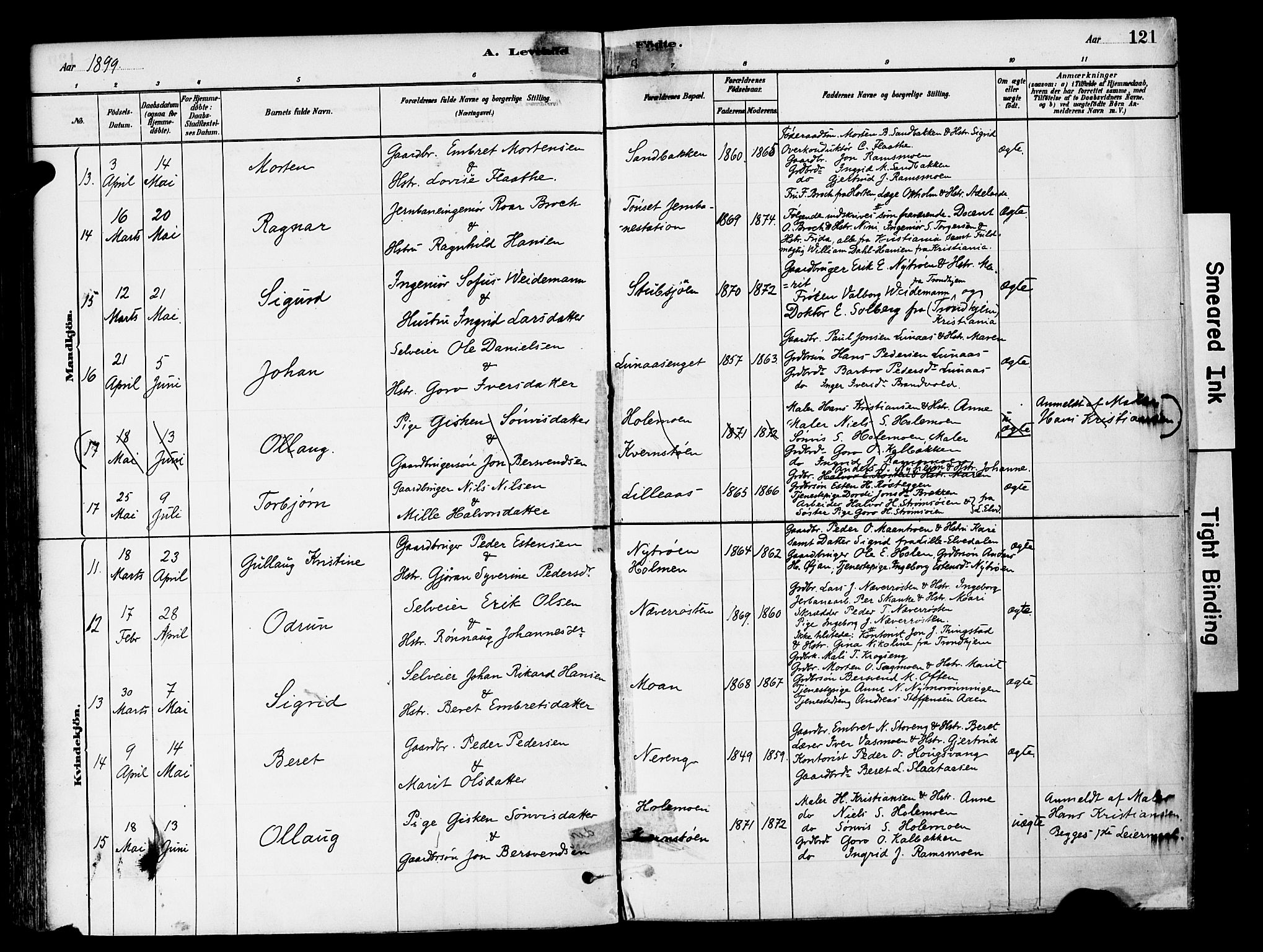 Tynset prestekontor, SAH/PREST-058/H/Ha/Haa/L0022: Parish register (official) no. 22, 1880-1899, p. 121