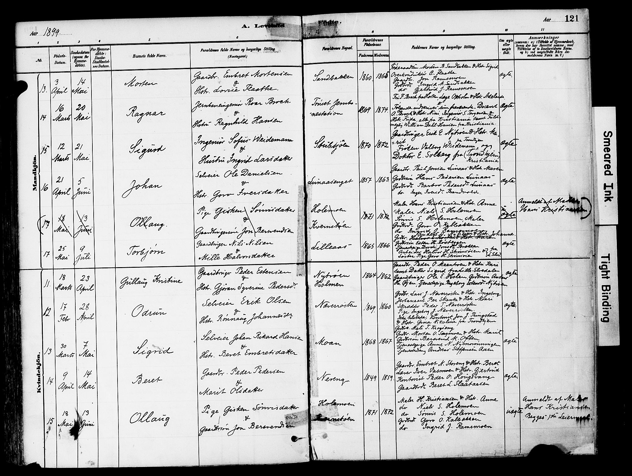 Tynset prestekontor, AV/SAH-PREST-058/H/Ha/Haa/L0022: Parish register (official) no. 22, 1880-1899, p. 121