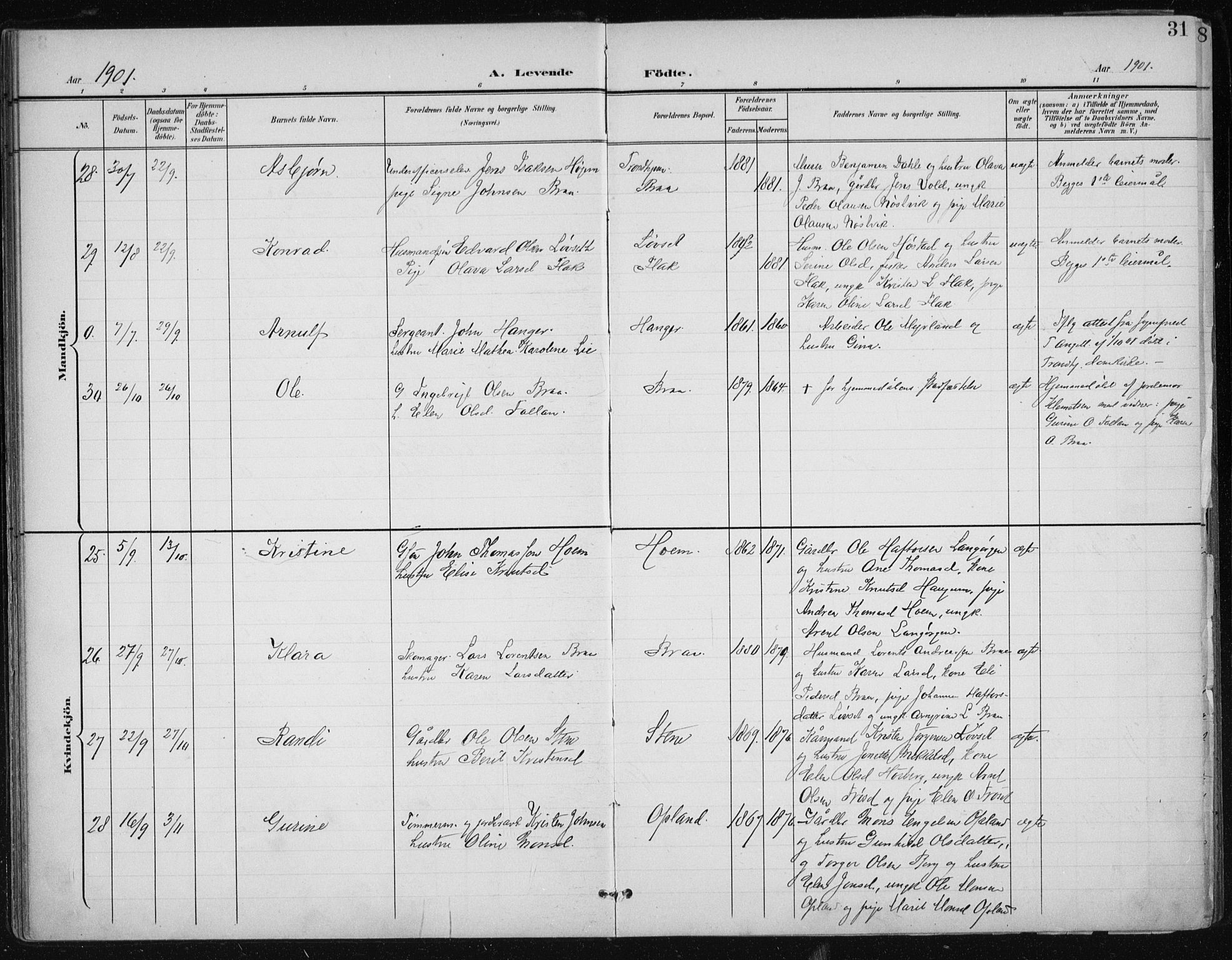 Ministerialprotokoller, klokkerbøker og fødselsregistre - Sør-Trøndelag, SAT/A-1456/612/L0380: Parish register (official) no. 612A12, 1898-1907, p. 31