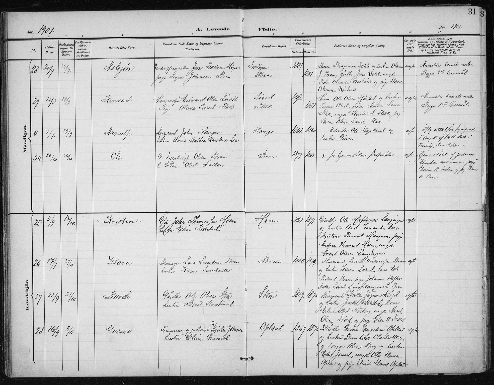 Ministerialprotokoller, klokkerbøker og fødselsregistre - Sør-Trøndelag, AV/SAT-A-1456/612/L0380: Parish register (official) no. 612A12, 1898-1907, p. 31