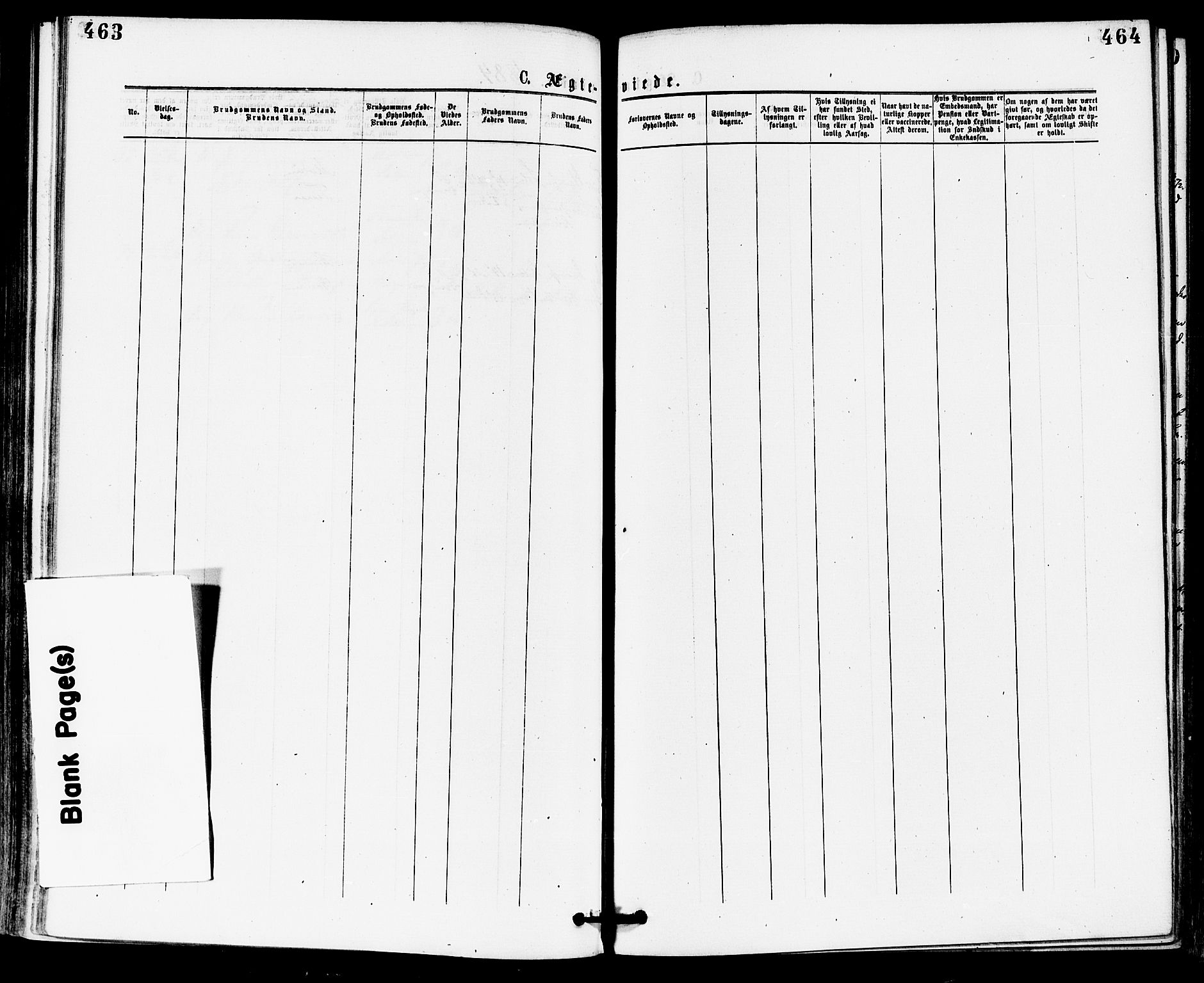 Skoger kirkebøker, AV/SAKO-A-59/F/Fa/L0005: Parish register (official) no. I 5, 1873-1884, p. 463-464