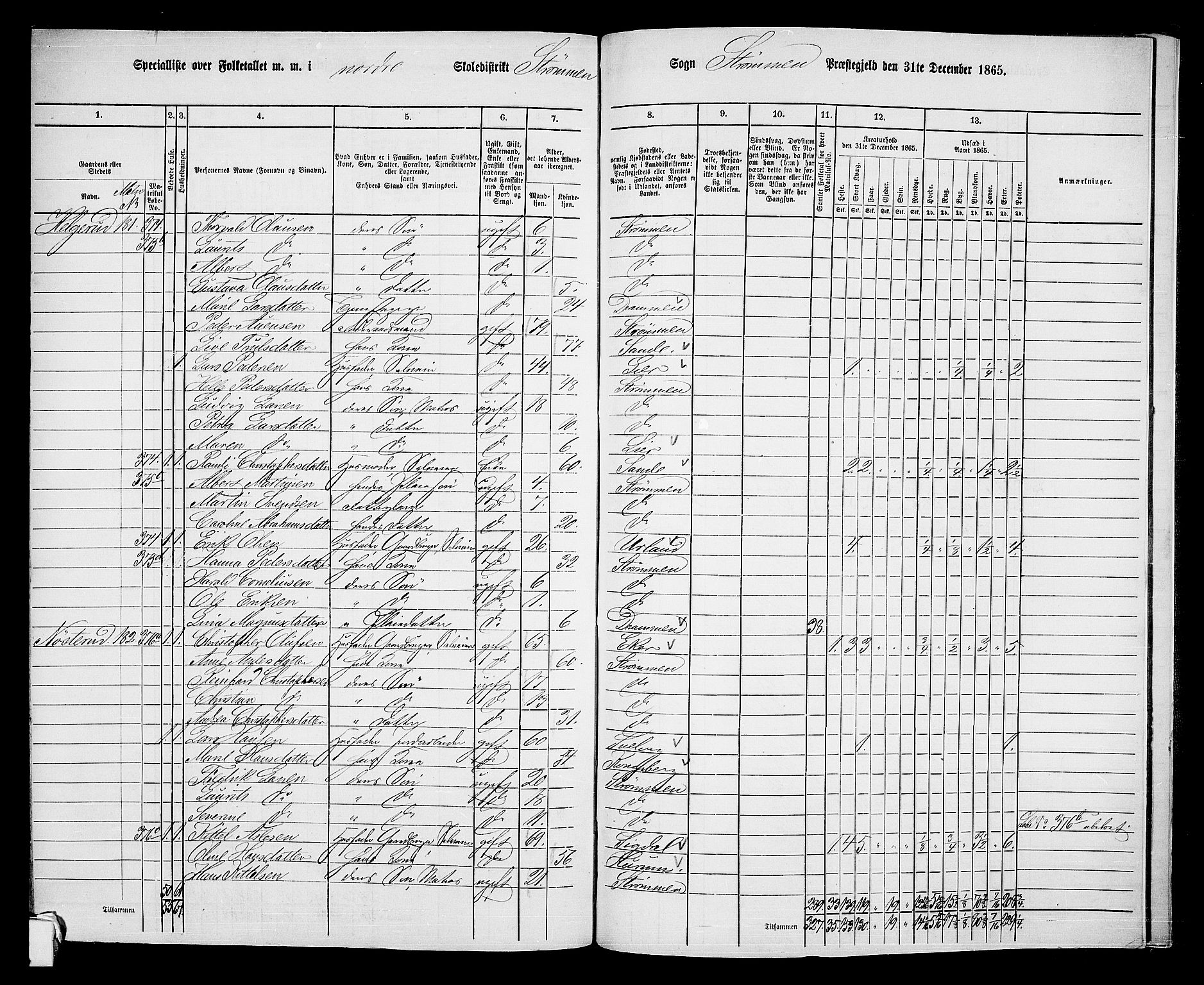 RA, 1865 census for Strømm, 1865, p. 46