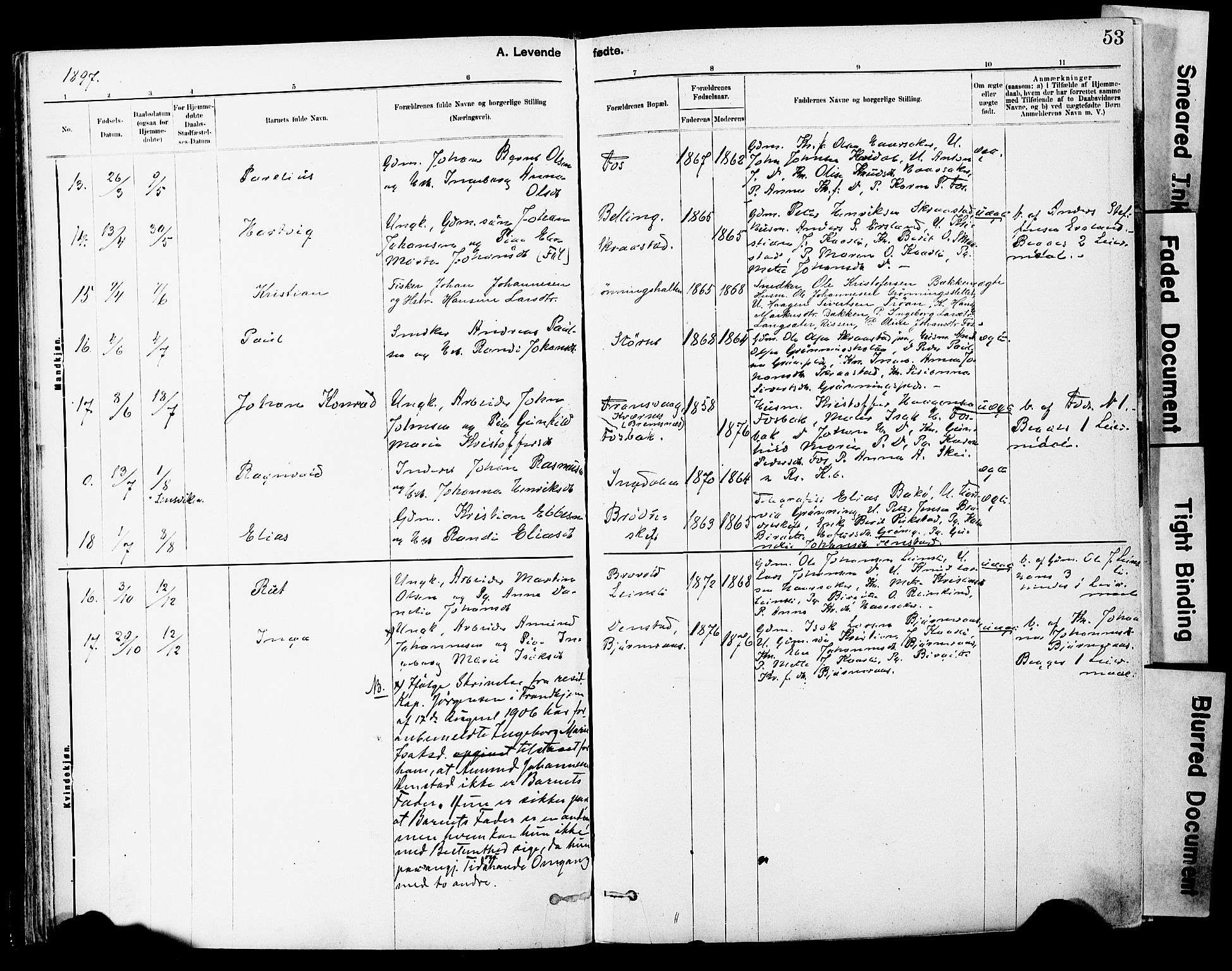 Ministerialprotokoller, klokkerbøker og fødselsregistre - Sør-Trøndelag, SAT/A-1456/646/L0615: Parish register (official) no. 646A13, 1885-1900, p. 53