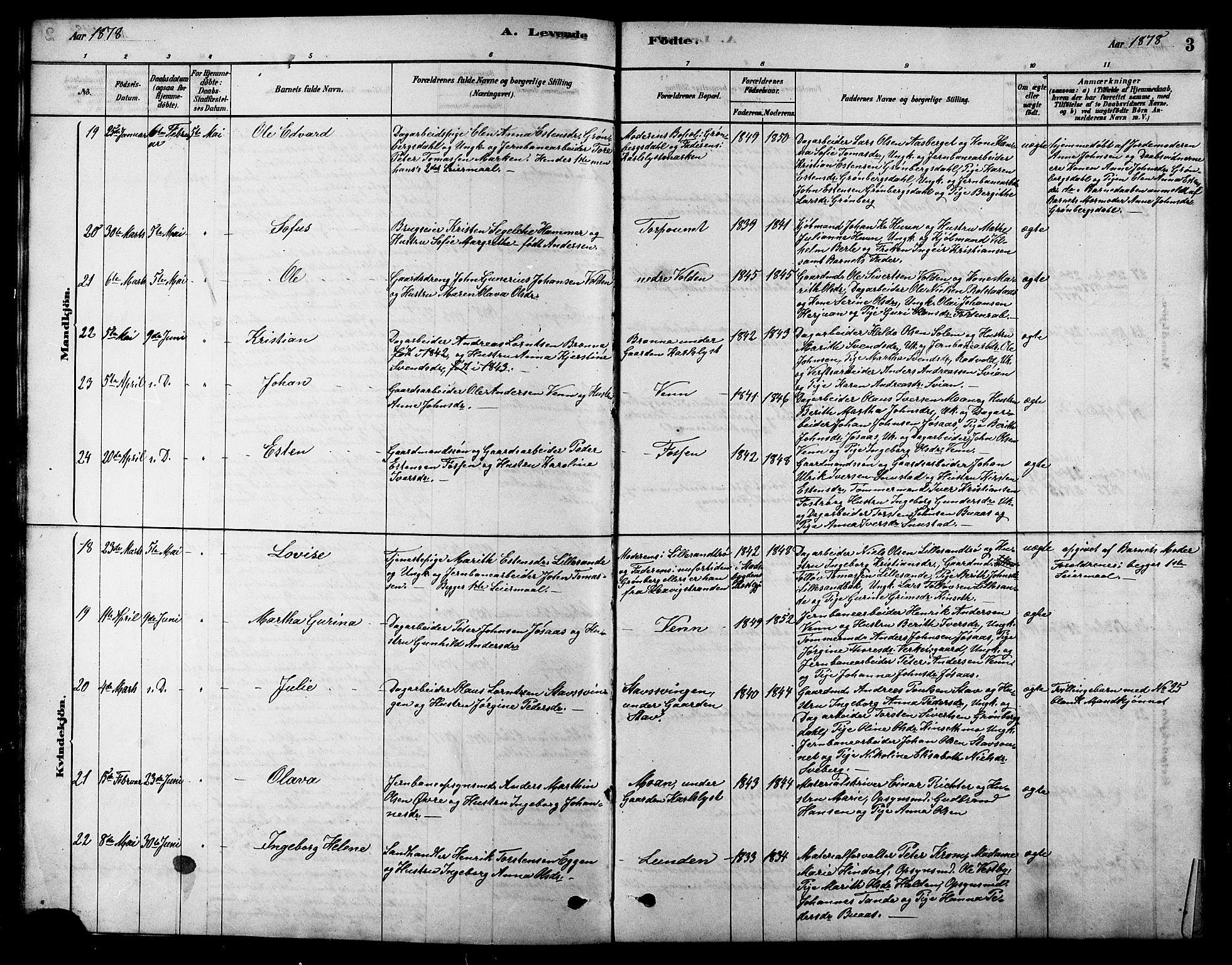 Ministerialprotokoller, klokkerbøker og fødselsregistre - Sør-Trøndelag, AV/SAT-A-1456/616/L0423: Parish register (copy) no. 616C06, 1878-1903, p. 3