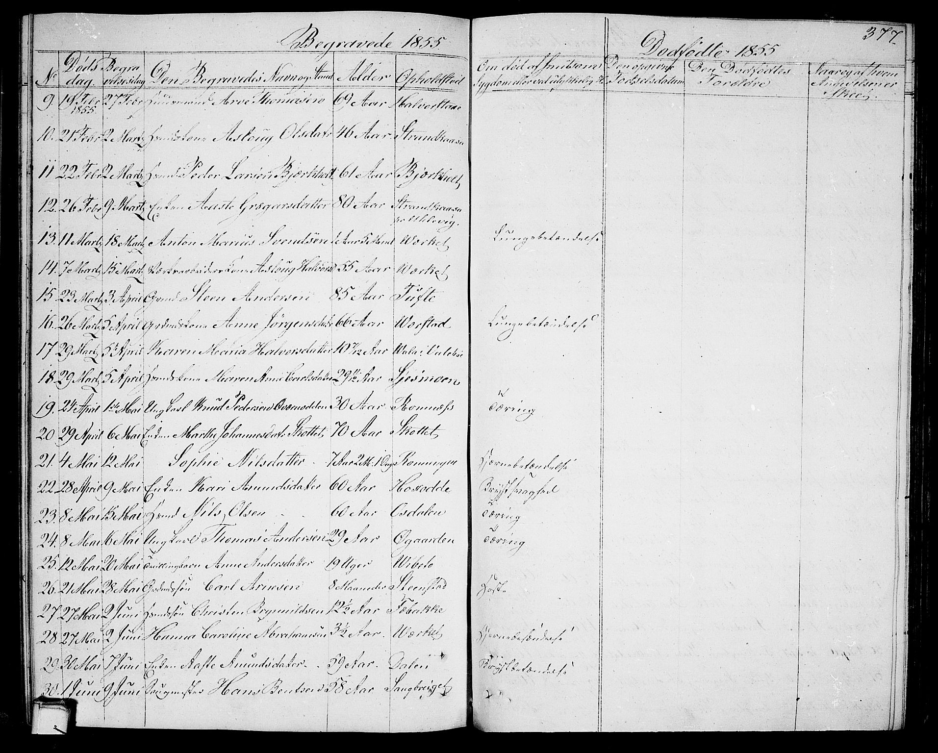 Holla kirkebøker, SAKO/A-272/G/Ga/L0003: Parish register (copy) no. I 3, 1849-1866, p. 377