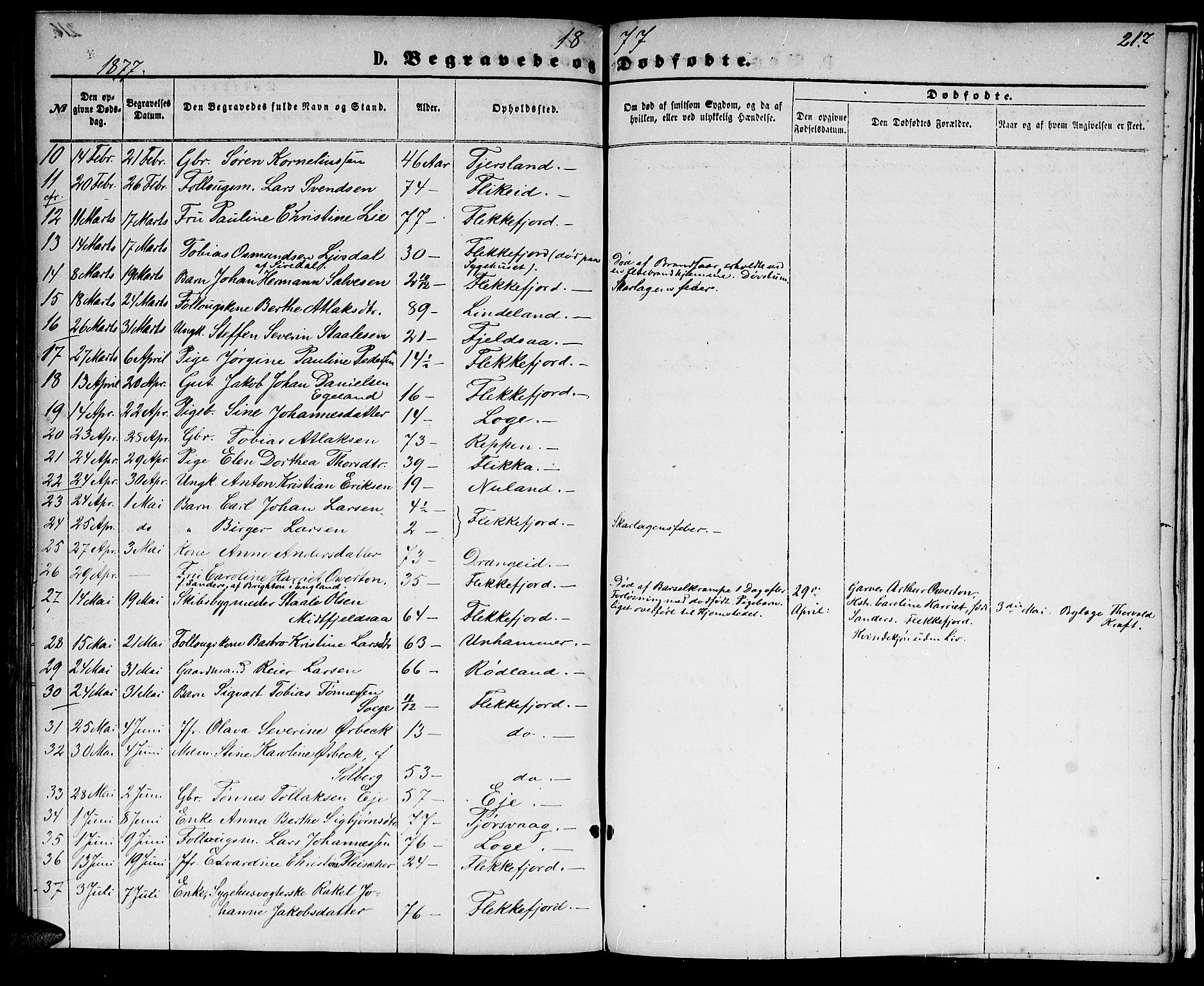 Flekkefjord sokneprestkontor, SAK/1111-0012/F/Fb/Fbc/L0006: Parish register (copy) no. B 6, 1866-1879, p. 217