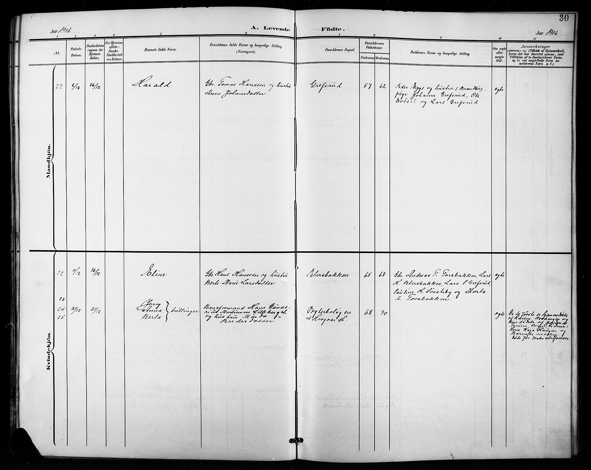 Vestre Toten prestekontor, AV/SAH-PREST-108/H/Ha/Hab/L0016: Parish register (copy) no. 16, 1901-1915, p. 30