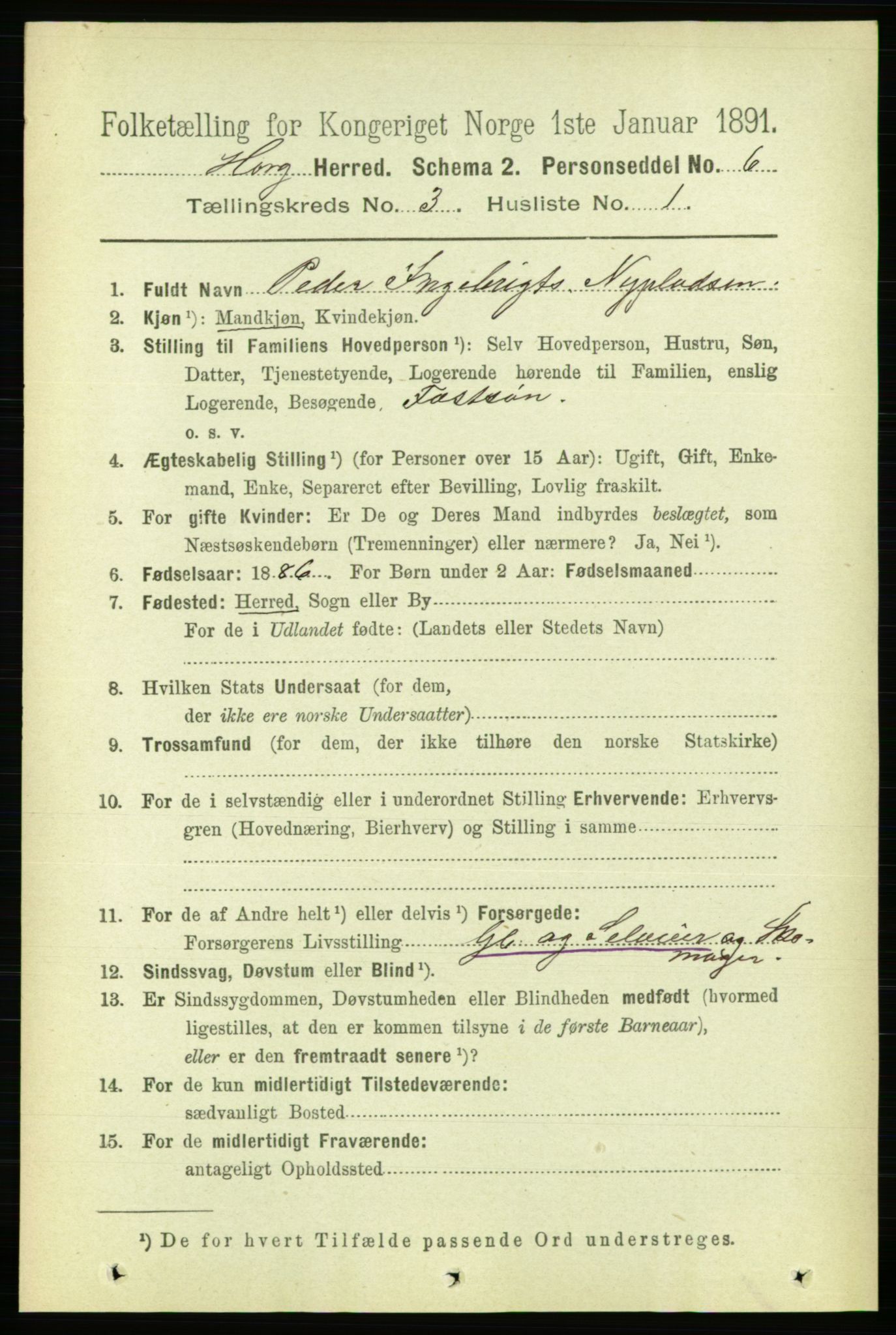 RA, 1891 census for 1650 Horg, 1891, p. 1117