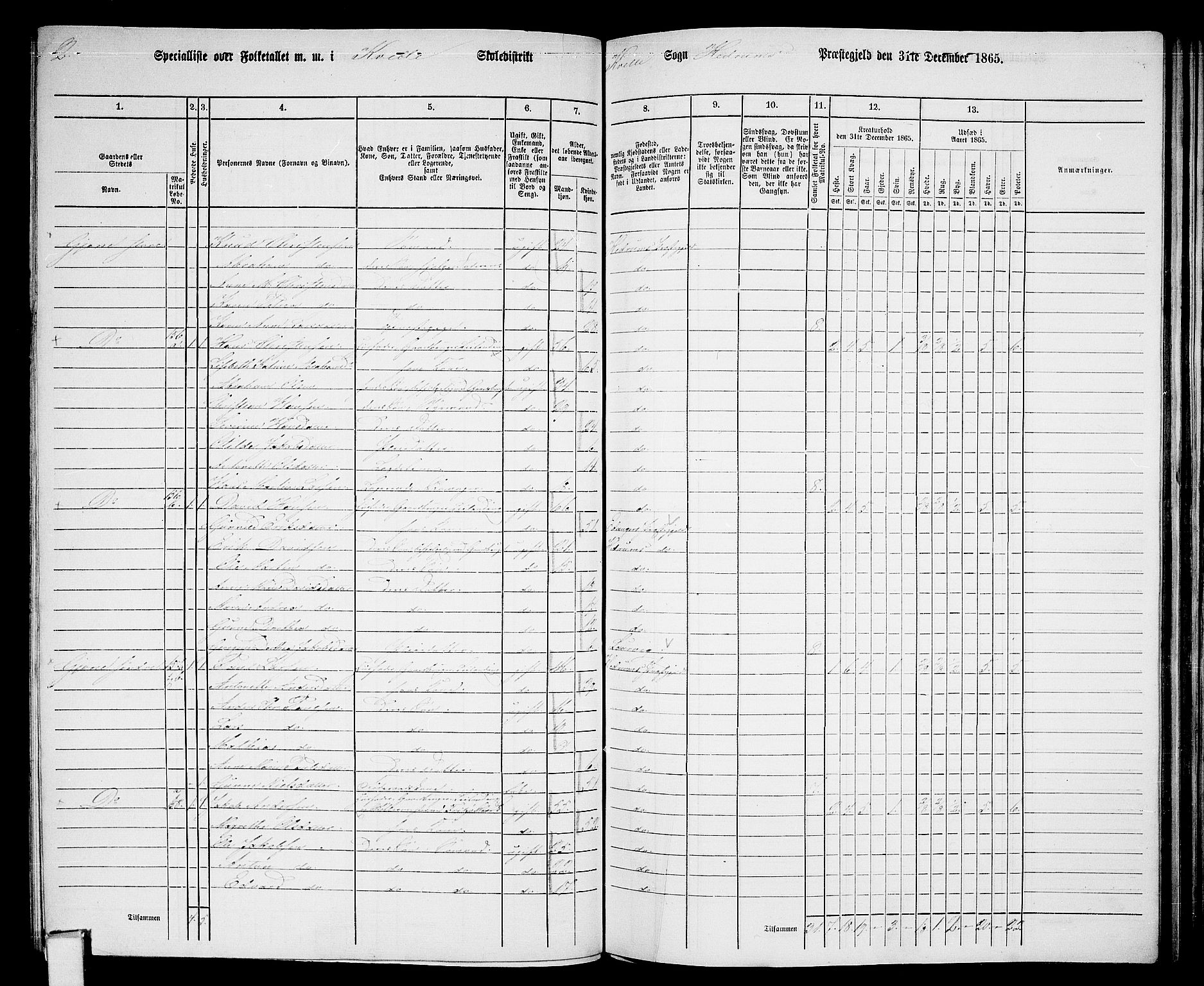 RA, 1865 census for Hedrum, 1865, p. 125