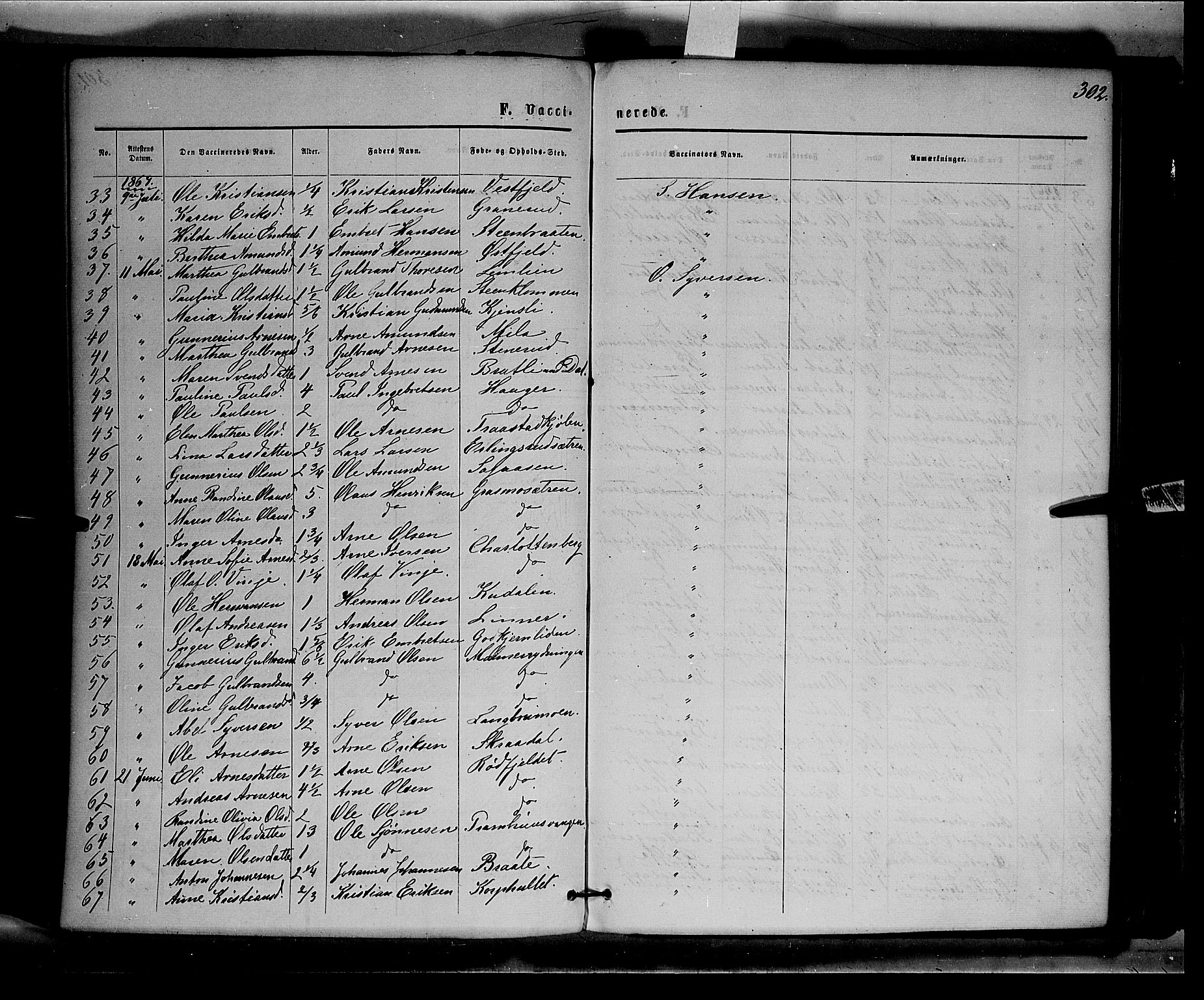 Eidskog prestekontor, AV/SAH-PREST-026/H/Ha/Haa/L0002: Parish register (official) no. 2, 1867-1878, p. 302