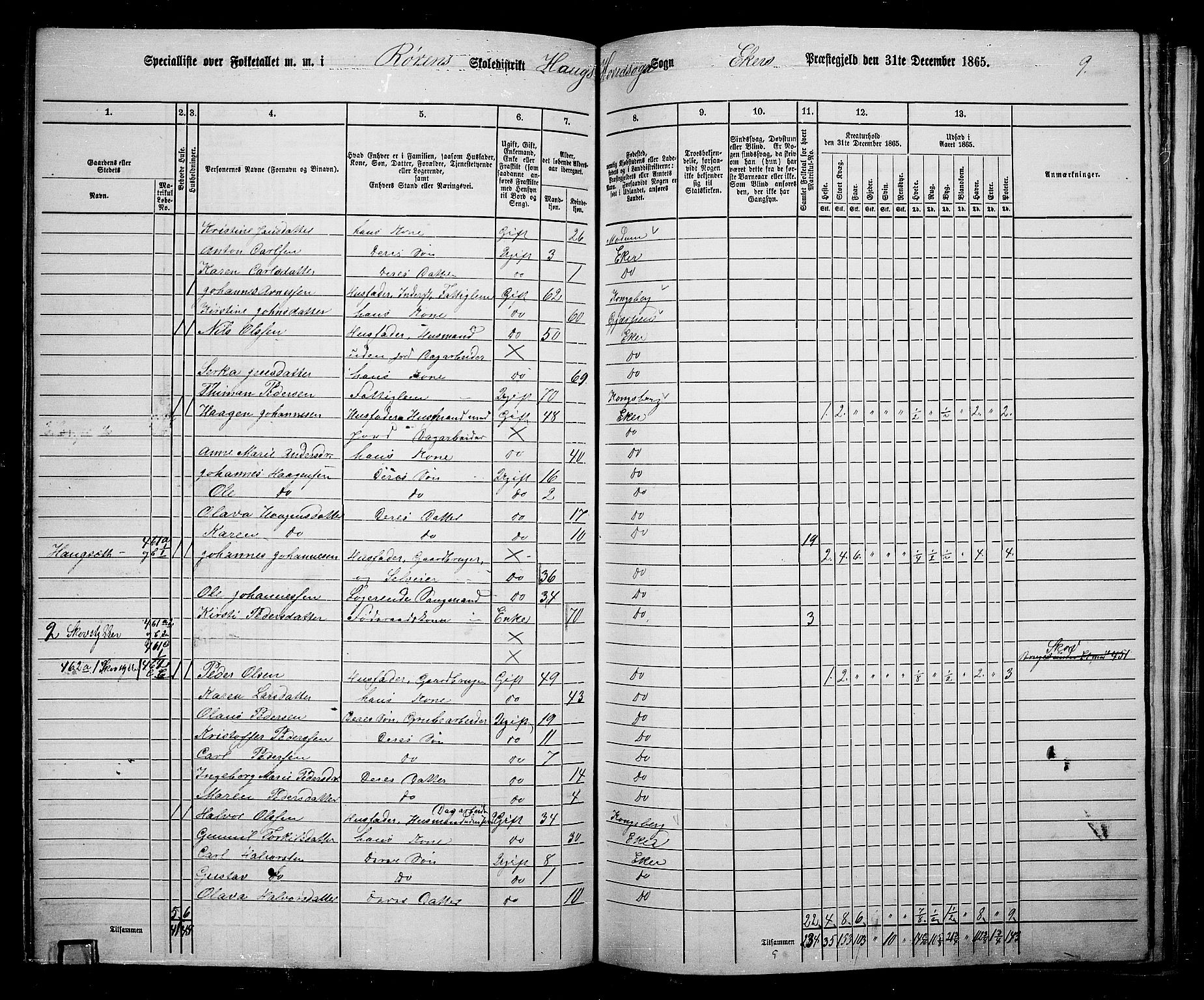 RA, 1865 census for Eiker, 1865, p. 113