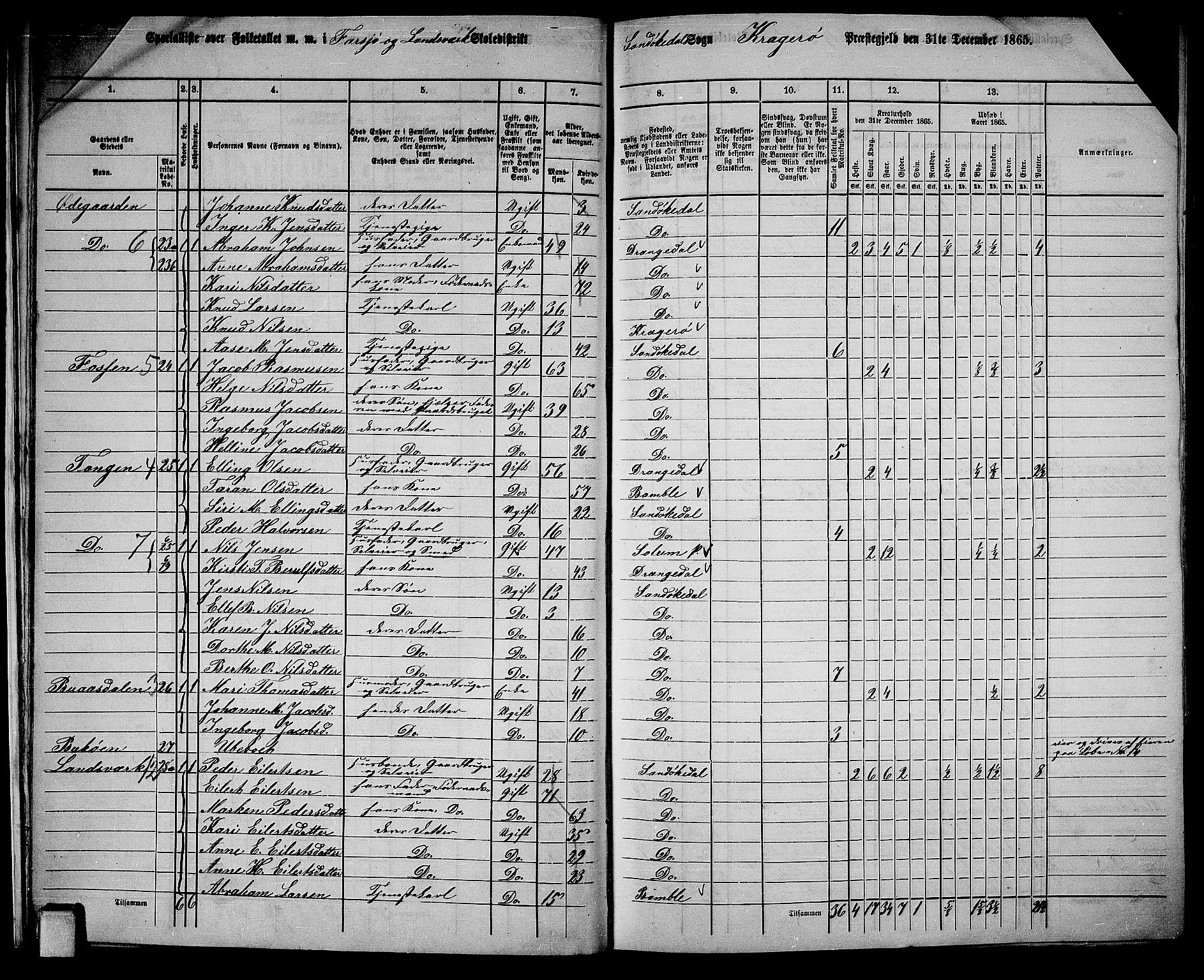 RA, 1865 census for Kragerø/Sannidal og Skåtøy, 1865, p. 20