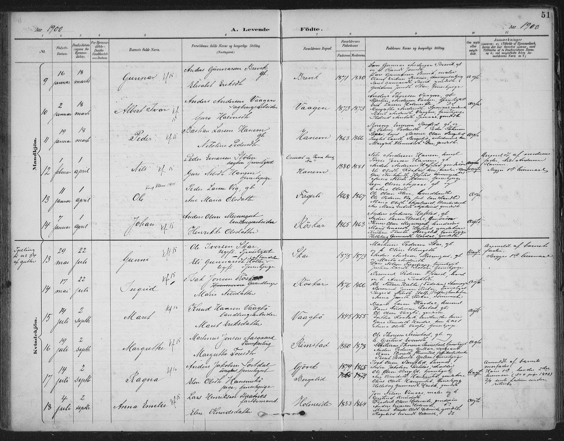 Ministerialprotokoller, klokkerbøker og fødselsregistre - Møre og Romsdal, AV/SAT-A-1454/586/L0988: Parish register (official) no. 586A14, 1893-1905, p. 51