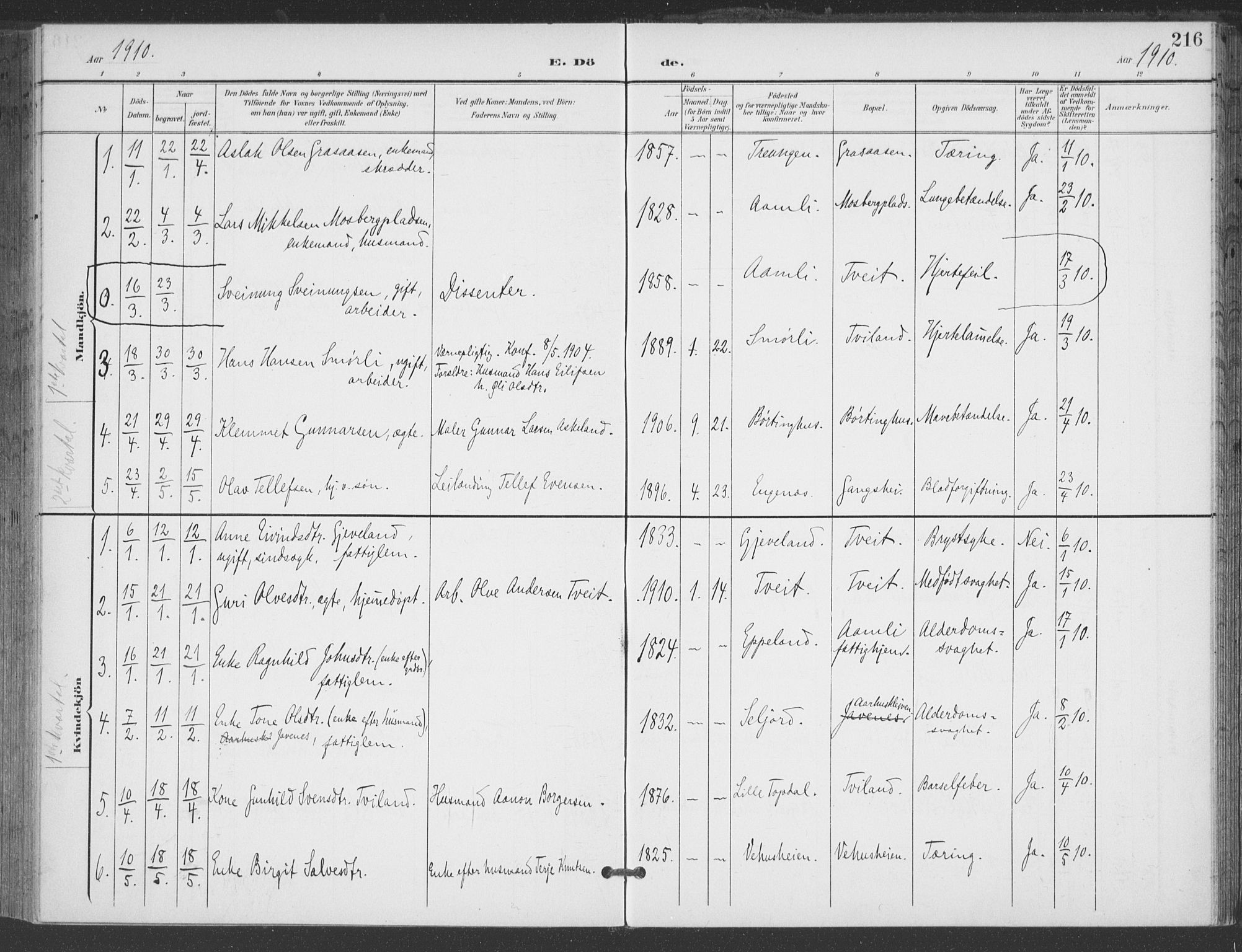 Åmli sokneprestkontor, AV/SAK-1111-0050/F/Fa/Fac/L0012: Parish register (official) no. A 12, 1900-1914, p. 216