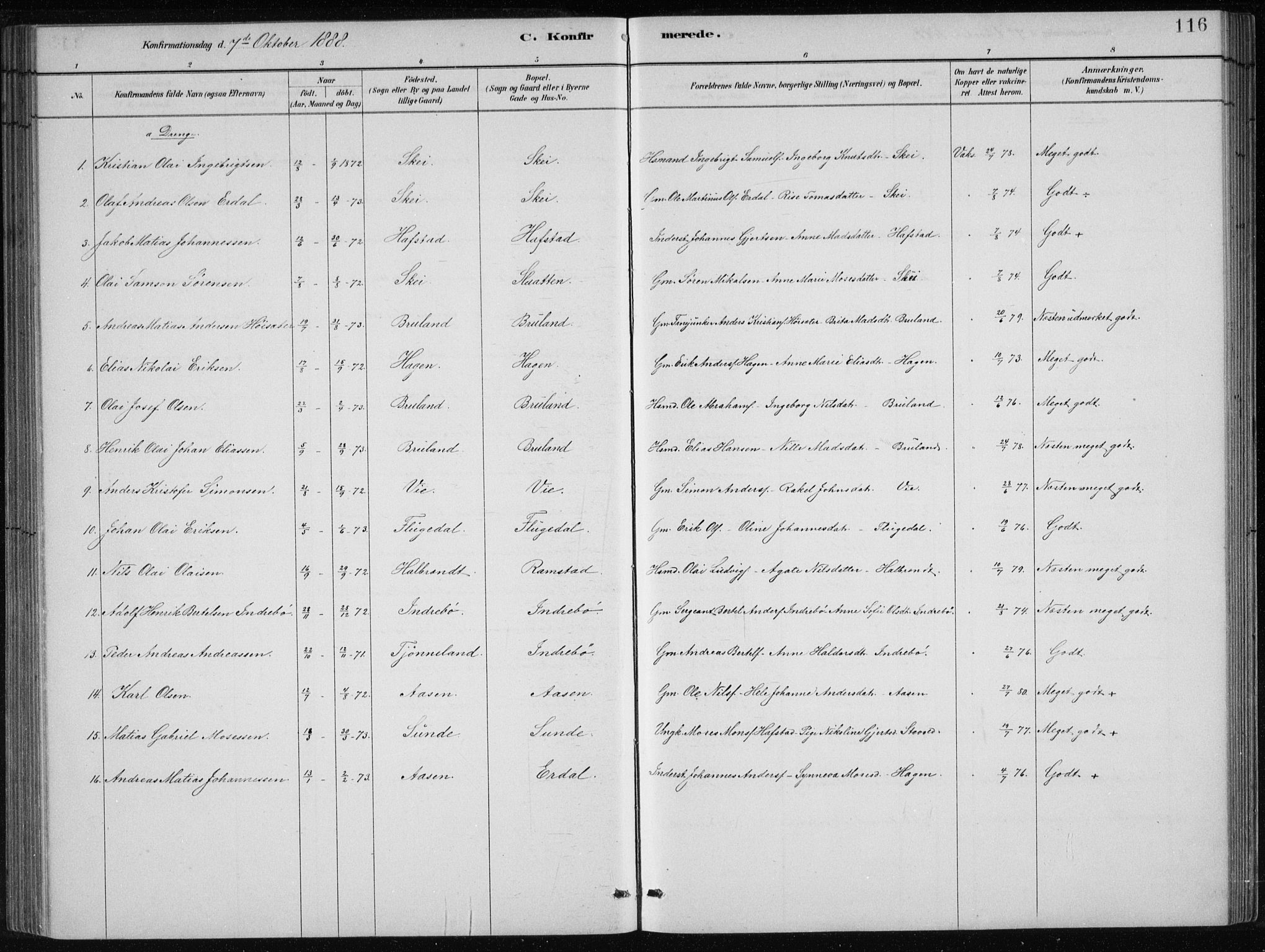 Førde sokneprestembete, SAB/A-79901/H/Hab/Haba/L0002: Parish register (copy) no. A 2, 1881-1898, p. 116