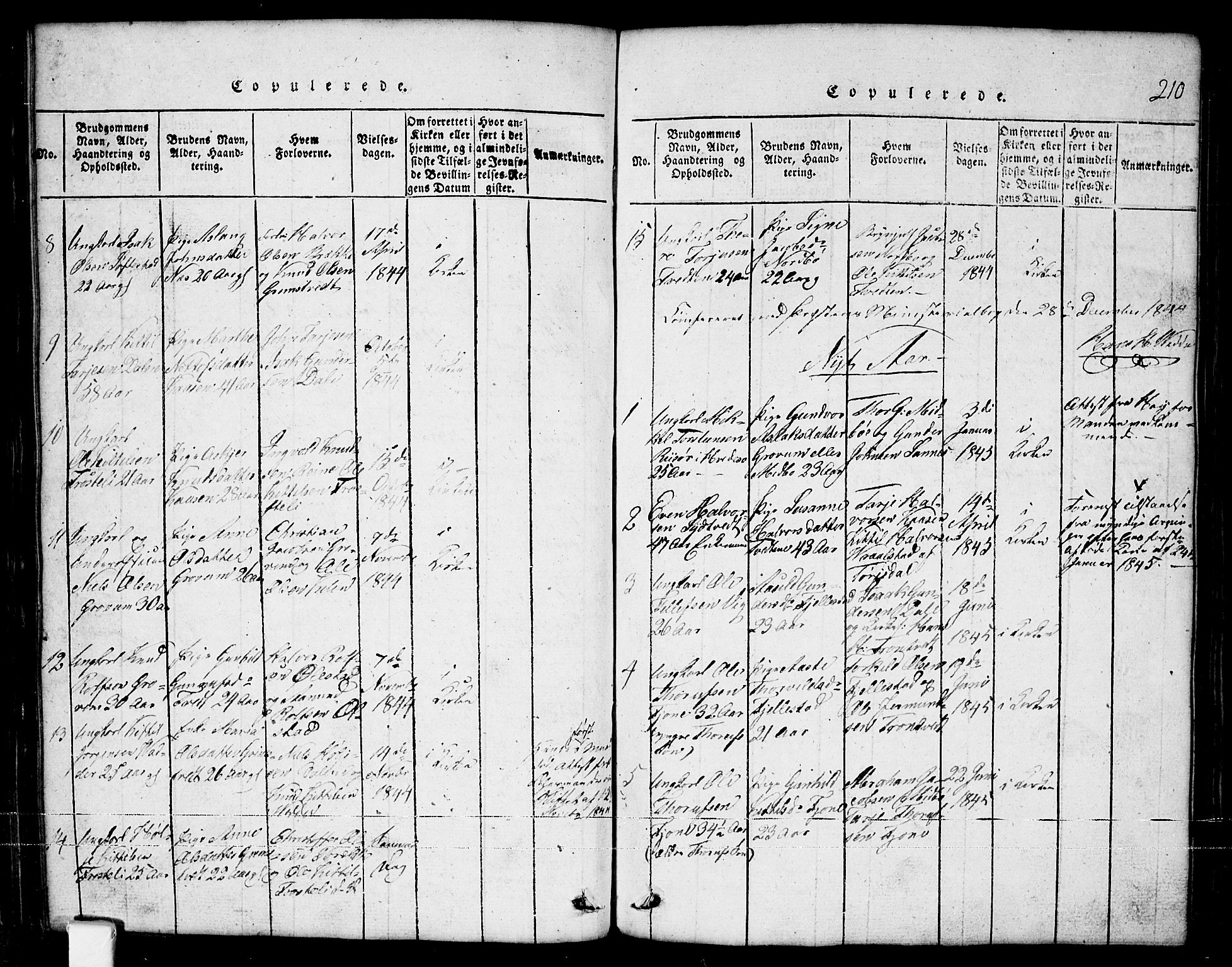 Nissedal kirkebøker, SAKO/A-288/G/Ga/L0001: Parish register (copy) no. I 1, 1814-1860, p. 210