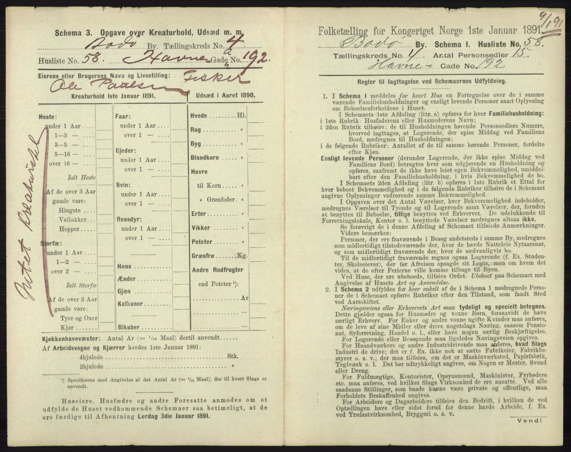 RA, 1891 census for 1804 Bodø, 1891, p. 3003