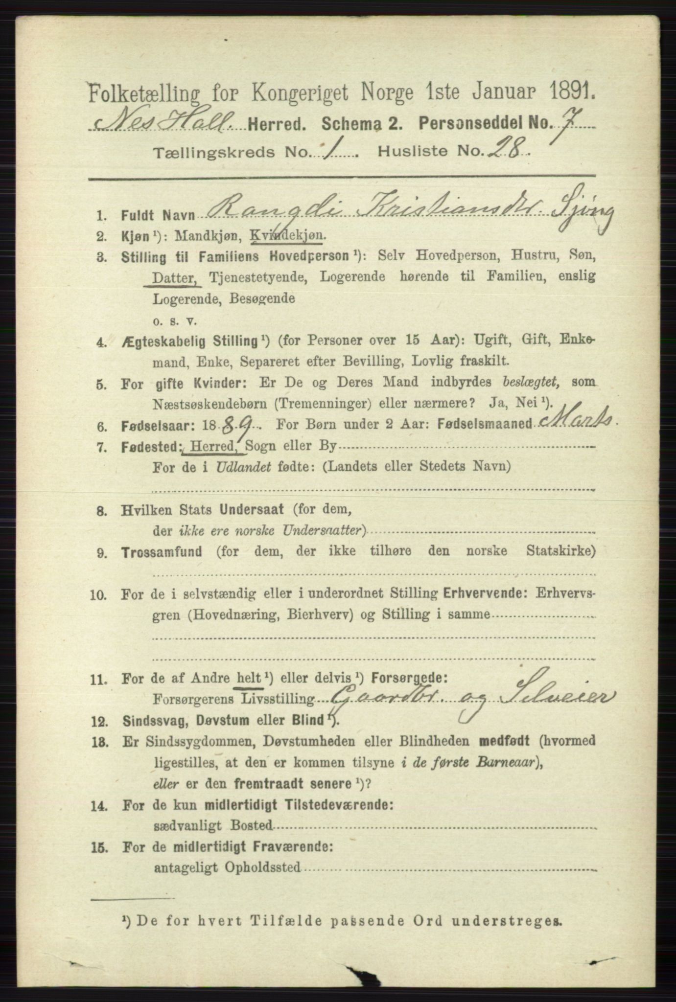 RA, 1891 census for 0616 Nes, 1891, p. 320