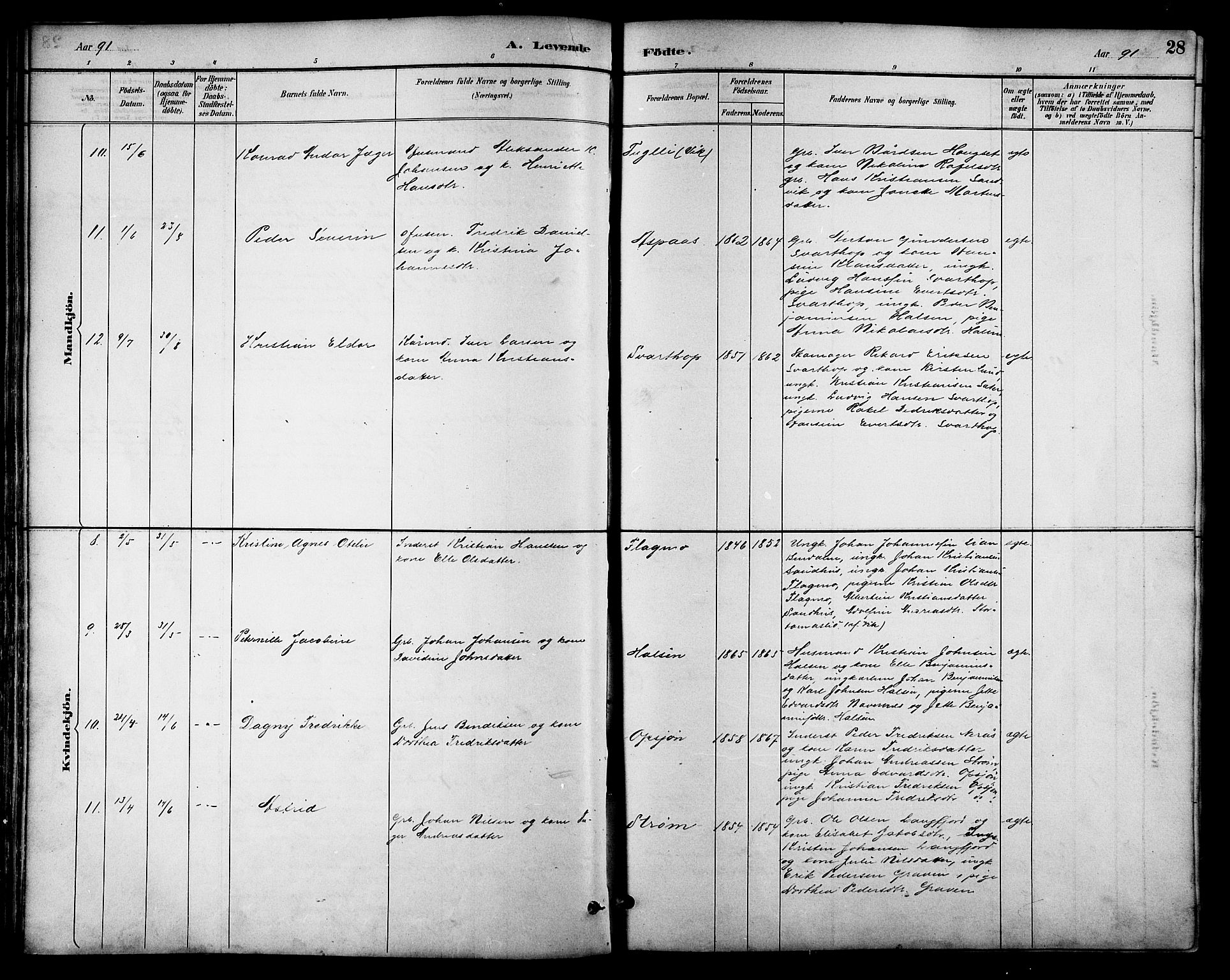 Ministerialprotokoller, klokkerbøker og fødselsregistre - Nordland, AV/SAT-A-1459/814/L0230: Parish register (copy) no. 814C03, 1884-1911, p. 28