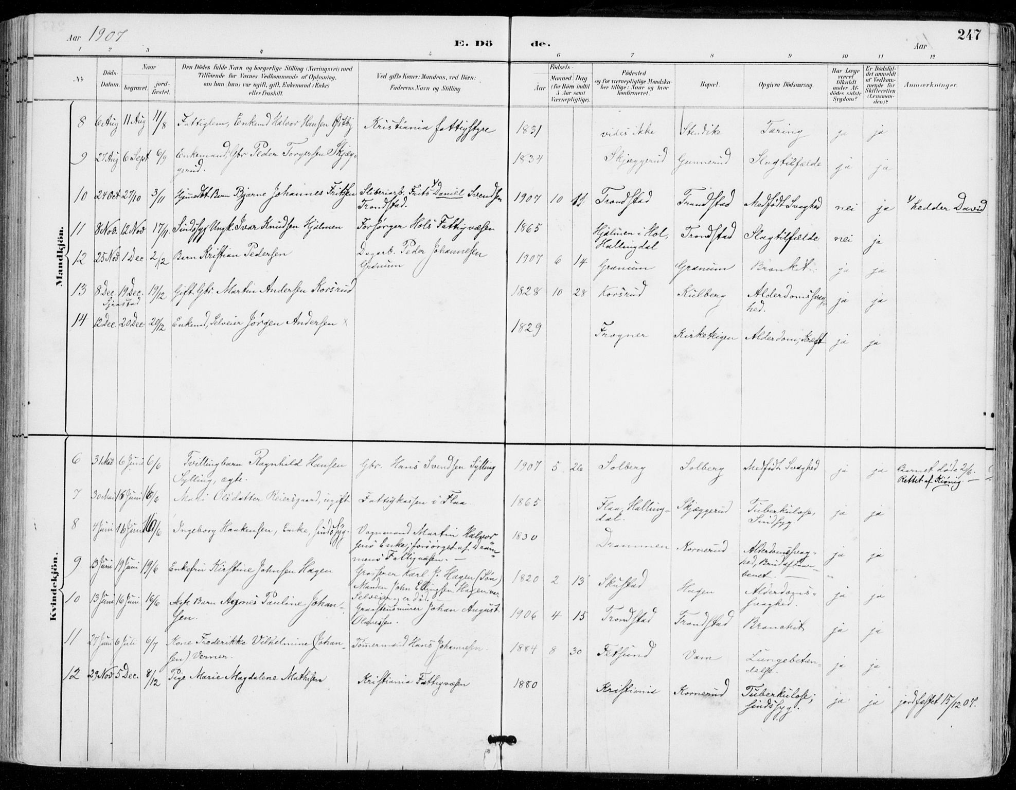 Sylling kirkebøker, AV/SAKO-A-247/F/Fa/L0001: Parish register (official) no. 1, 1883-1910, p. 247