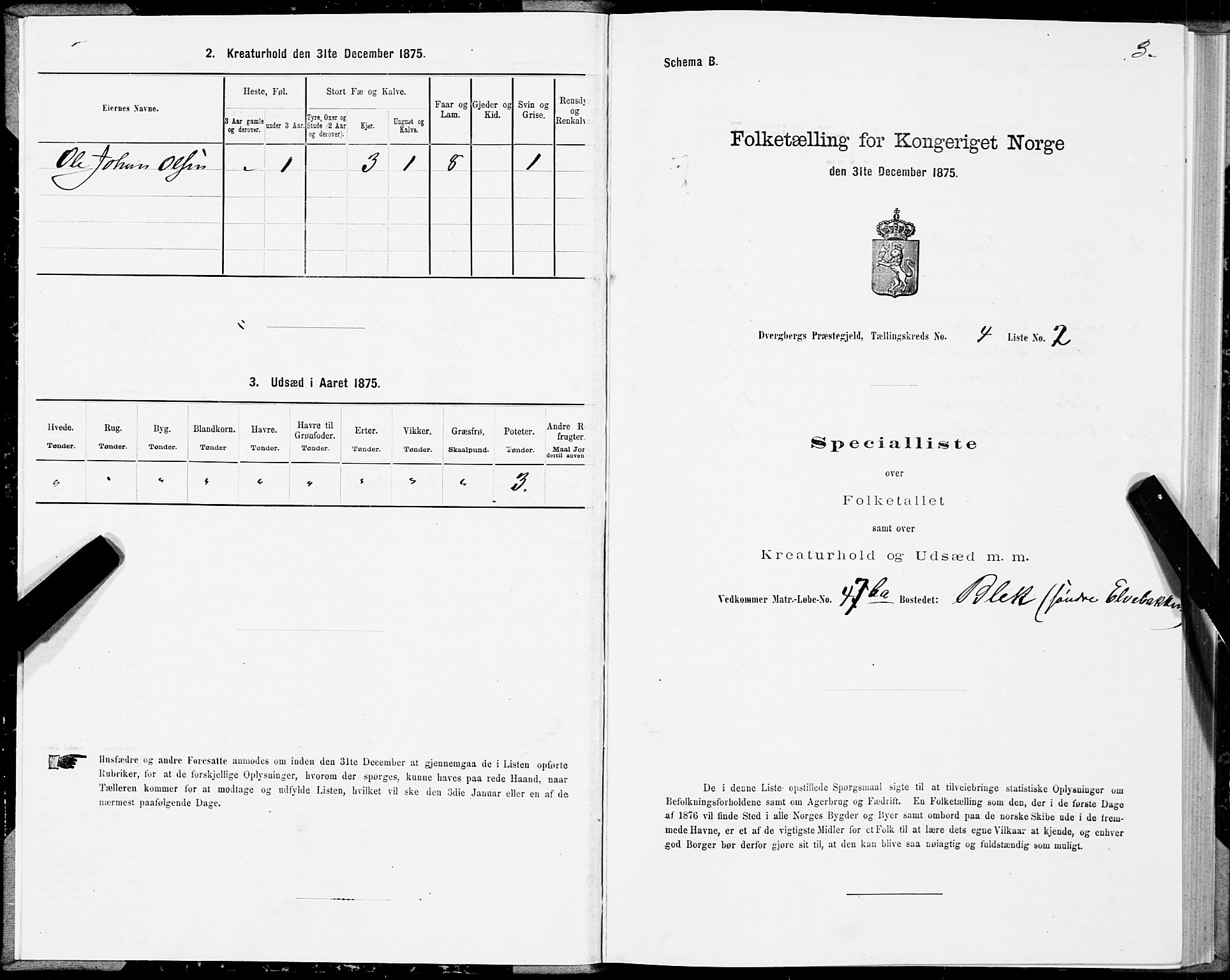 SAT, 1875 census for 1872P Dverberg, 1875, p. 3003