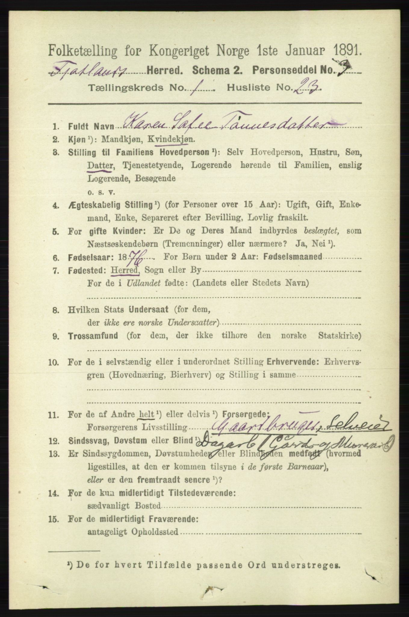 RA, 1891 census for 1036 Fjotland, 1891, p. 205