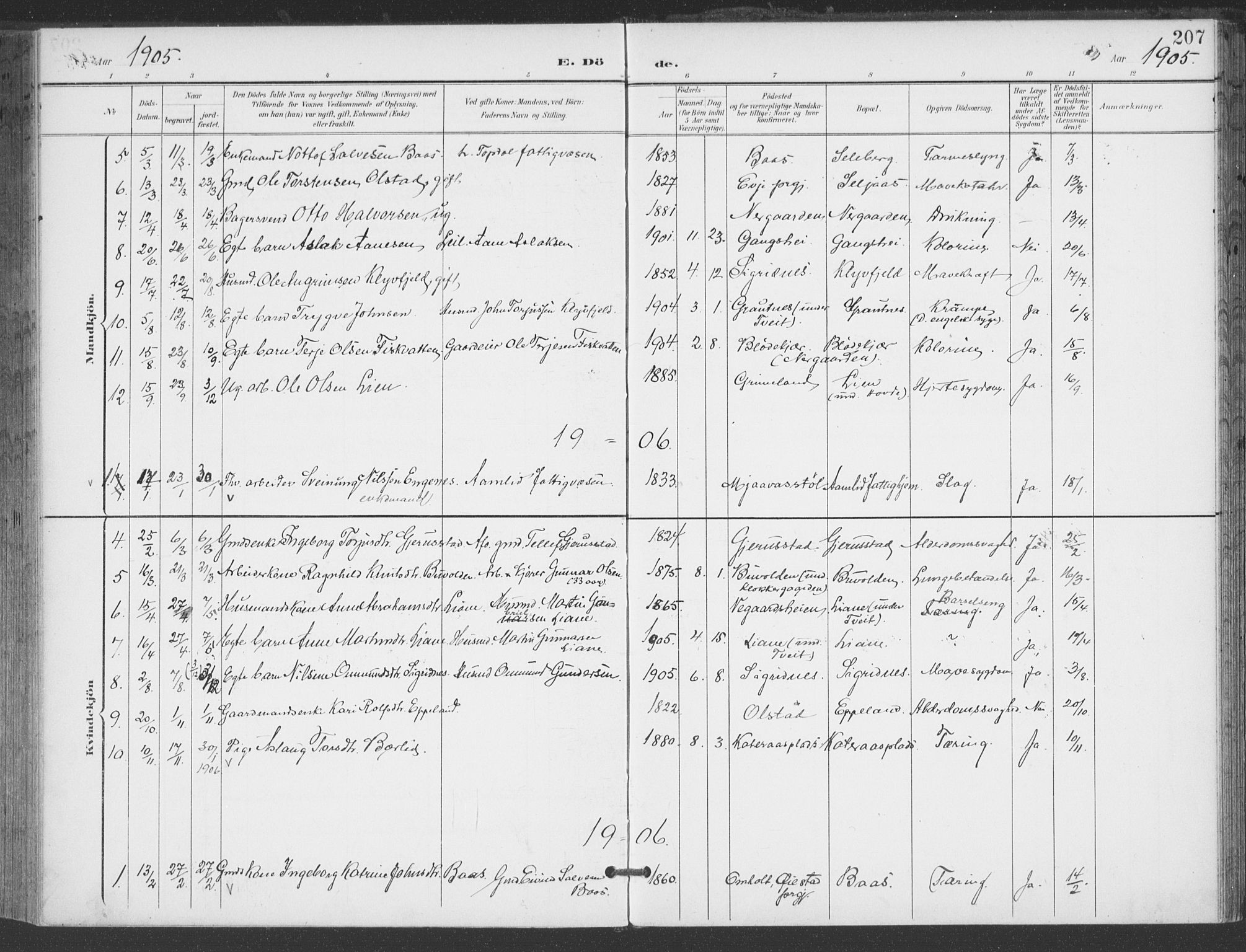 Åmli sokneprestkontor, AV/SAK-1111-0050/F/Fa/Fac/L0012: Parish register (official) no. A 12, 1900-1914, p. 207