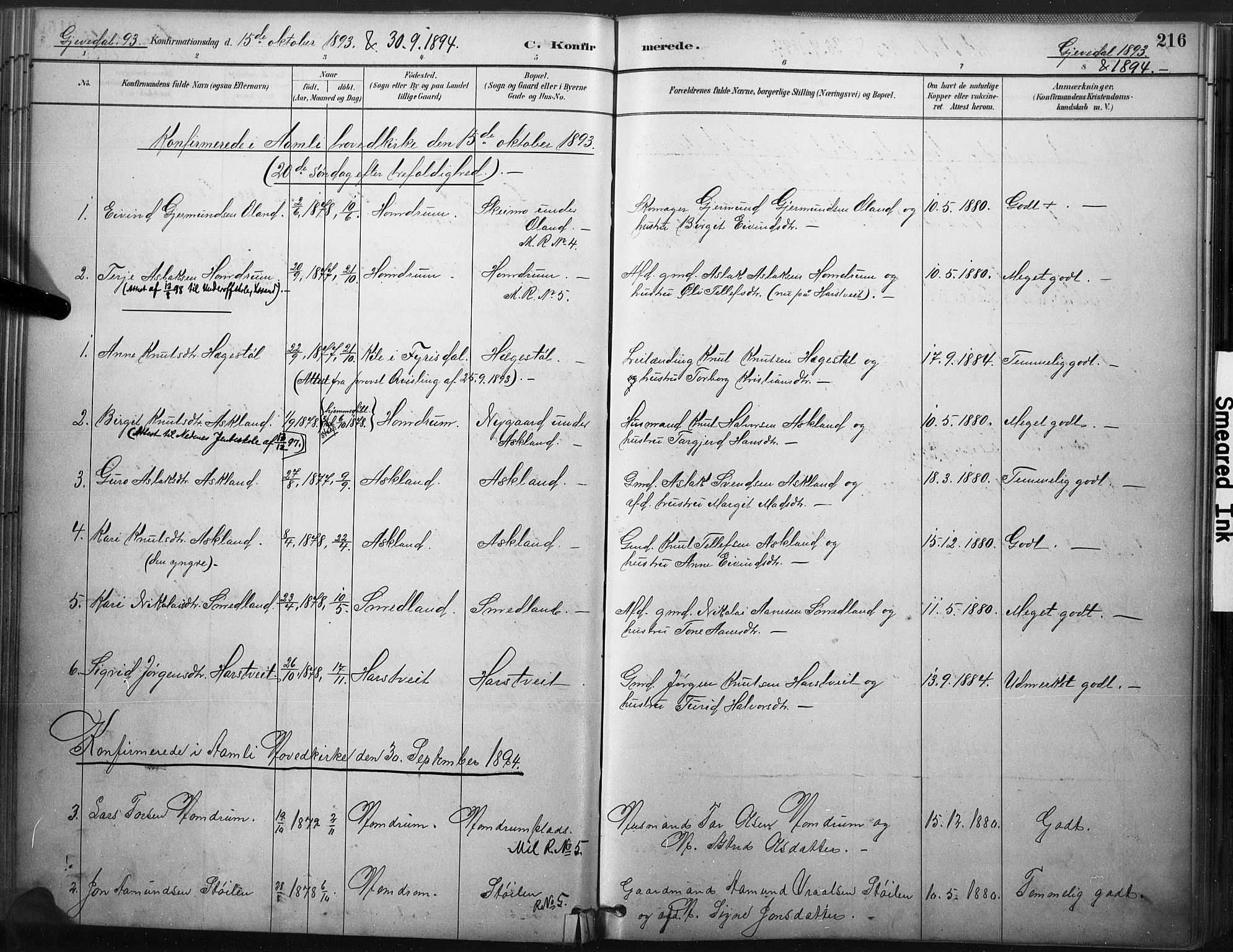Åmli sokneprestkontor, SAK/1111-0050/F/Fa/Fac/L0010: Parish register (official) no. A 10 /2, 1885-1899, p. 216