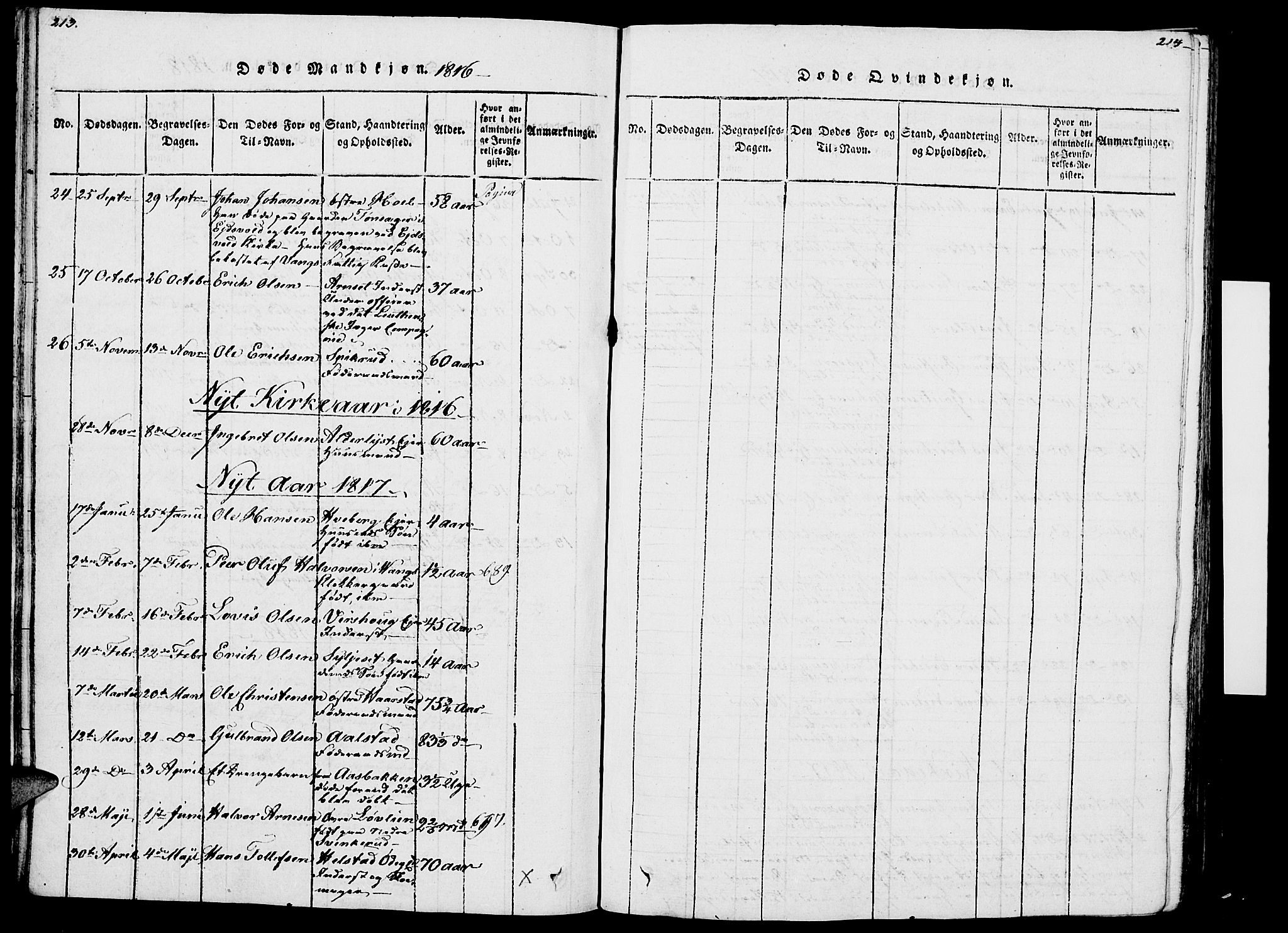 Vang prestekontor, Hedmark, AV/SAH-PREST-008/H/Ha/Haa/L0007: Parish register (official) no. 7, 1813-1826, p. 213-214