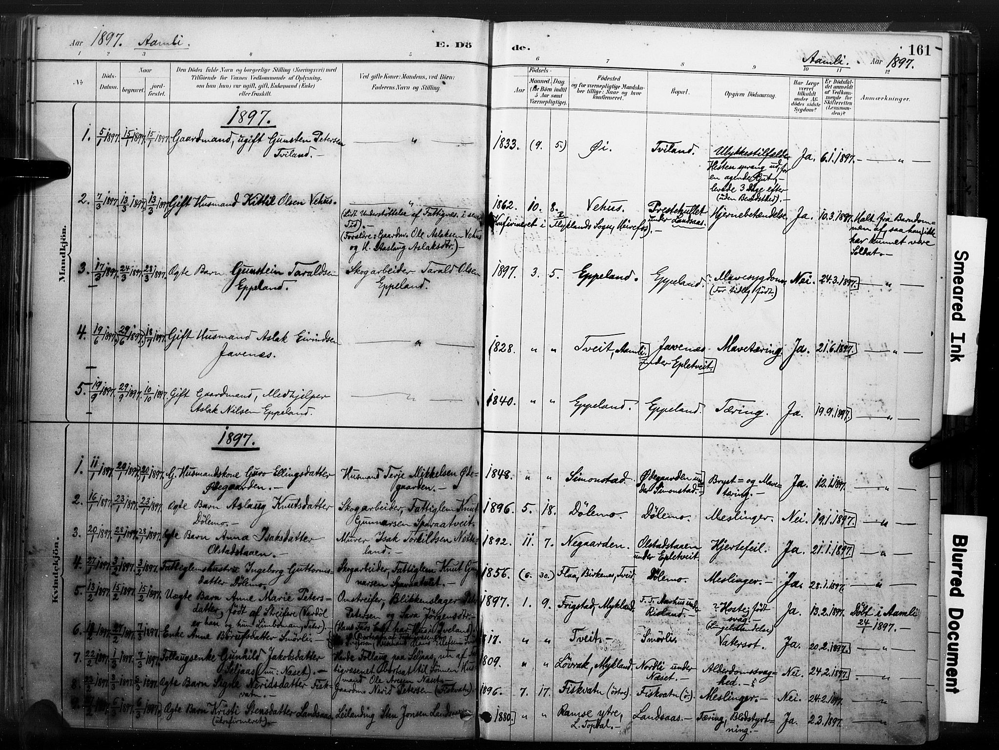 Åmli sokneprestkontor, AV/SAK-1111-0050/F/Fa/Fac/L0010: Parish register (official) no. A 10 /1, 1885-1899, p. 161