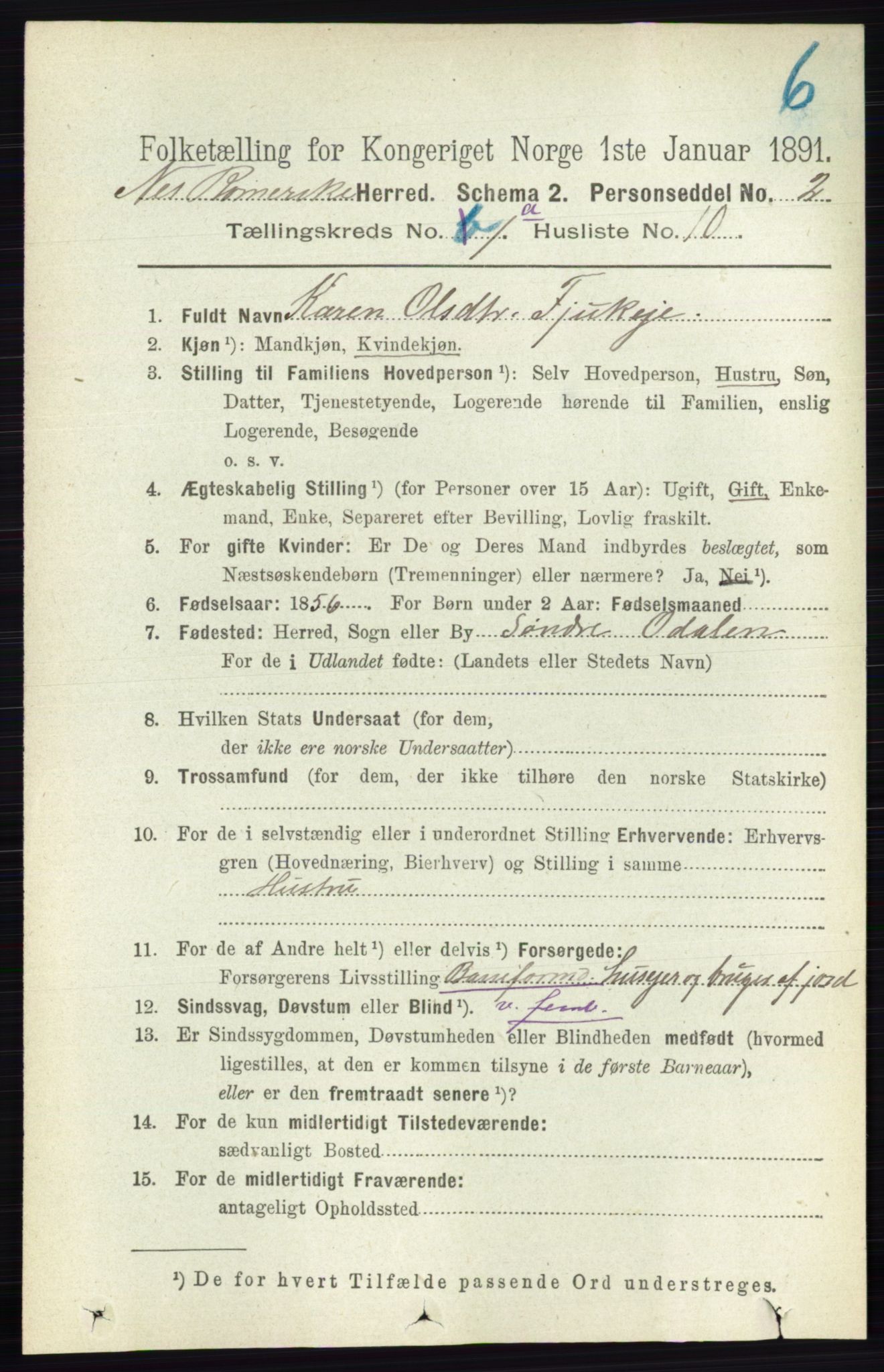 RA, 1891 census for 0236 Nes, 1891, p. 170