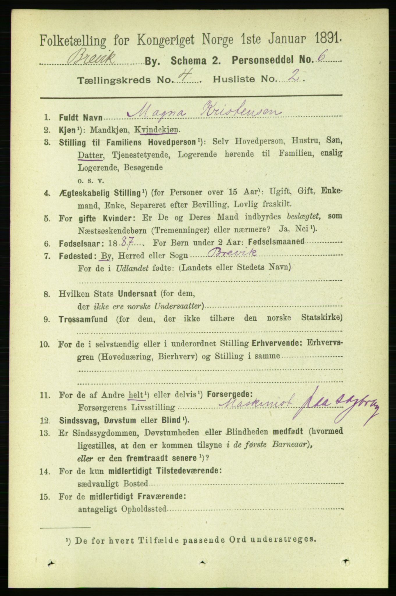 RA, 1891 census for 0804 Brevik, 1891, p. 2708